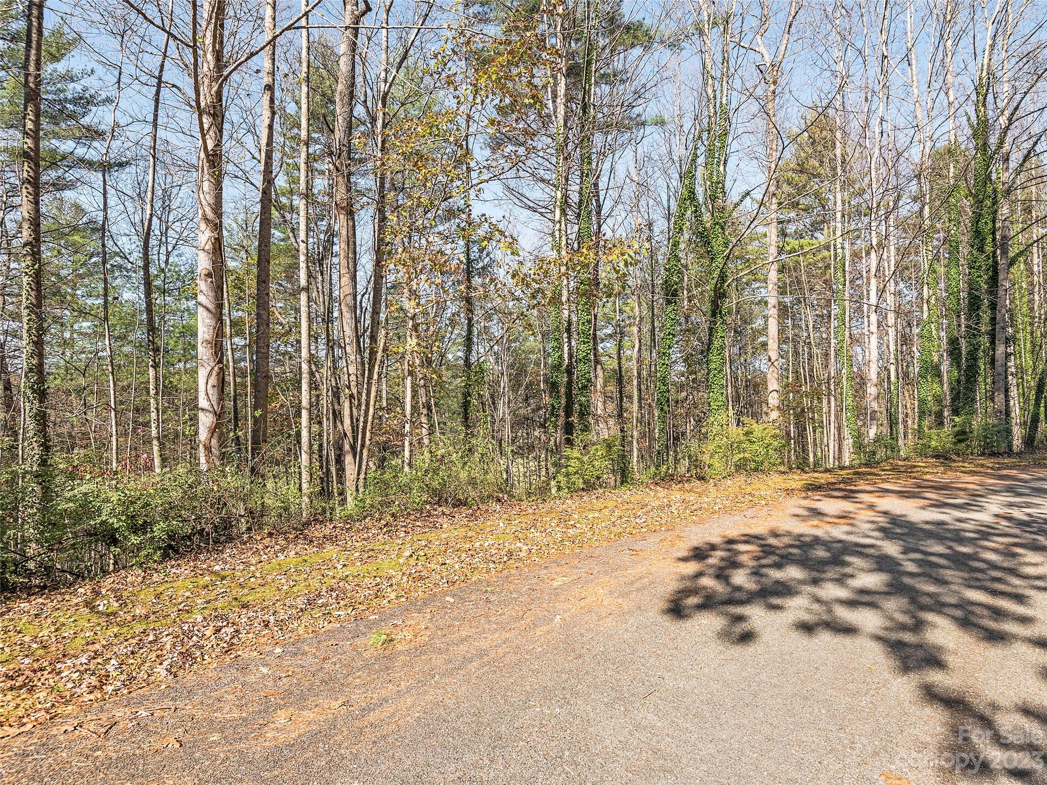 Lot 15 Mountain Lakes Drive Property Photo 9