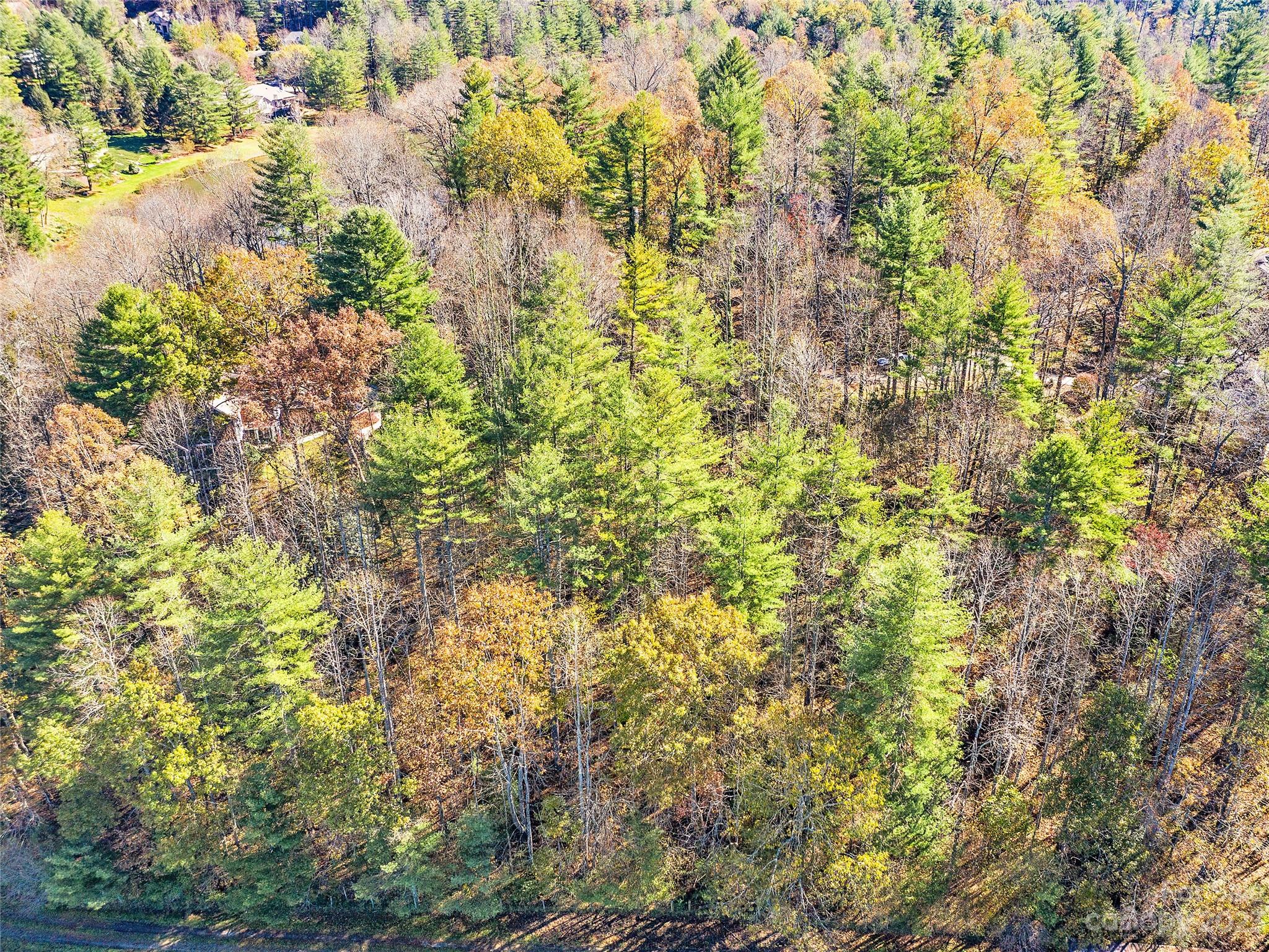 Lot 15 Mountain Lakes Drive Property Photo 12