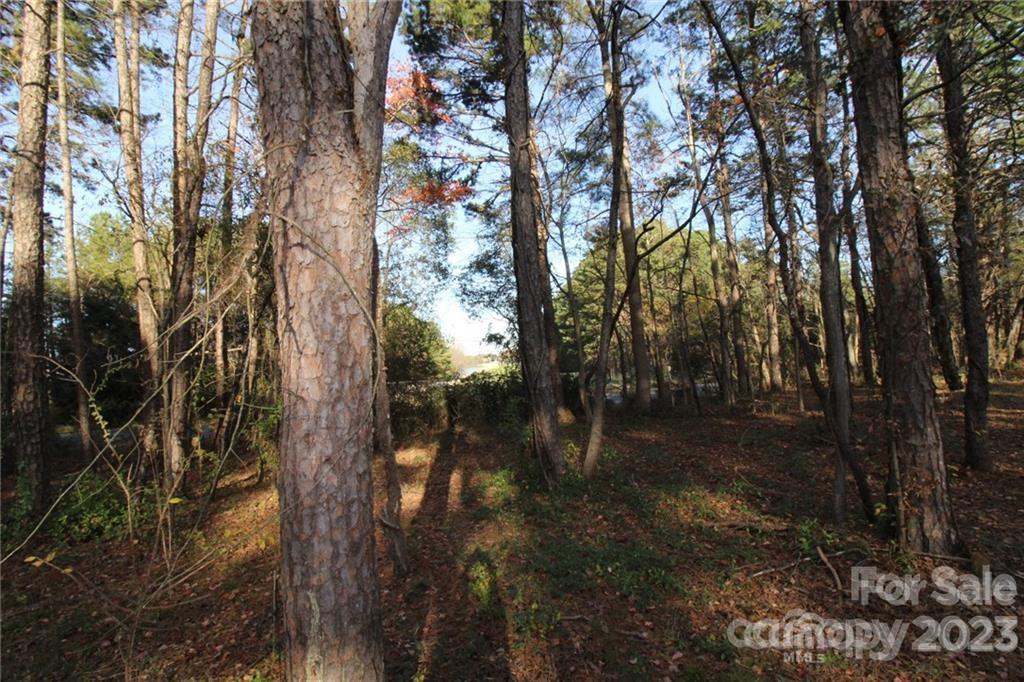 15513 Nc Hwy 73 Highway Property Photo