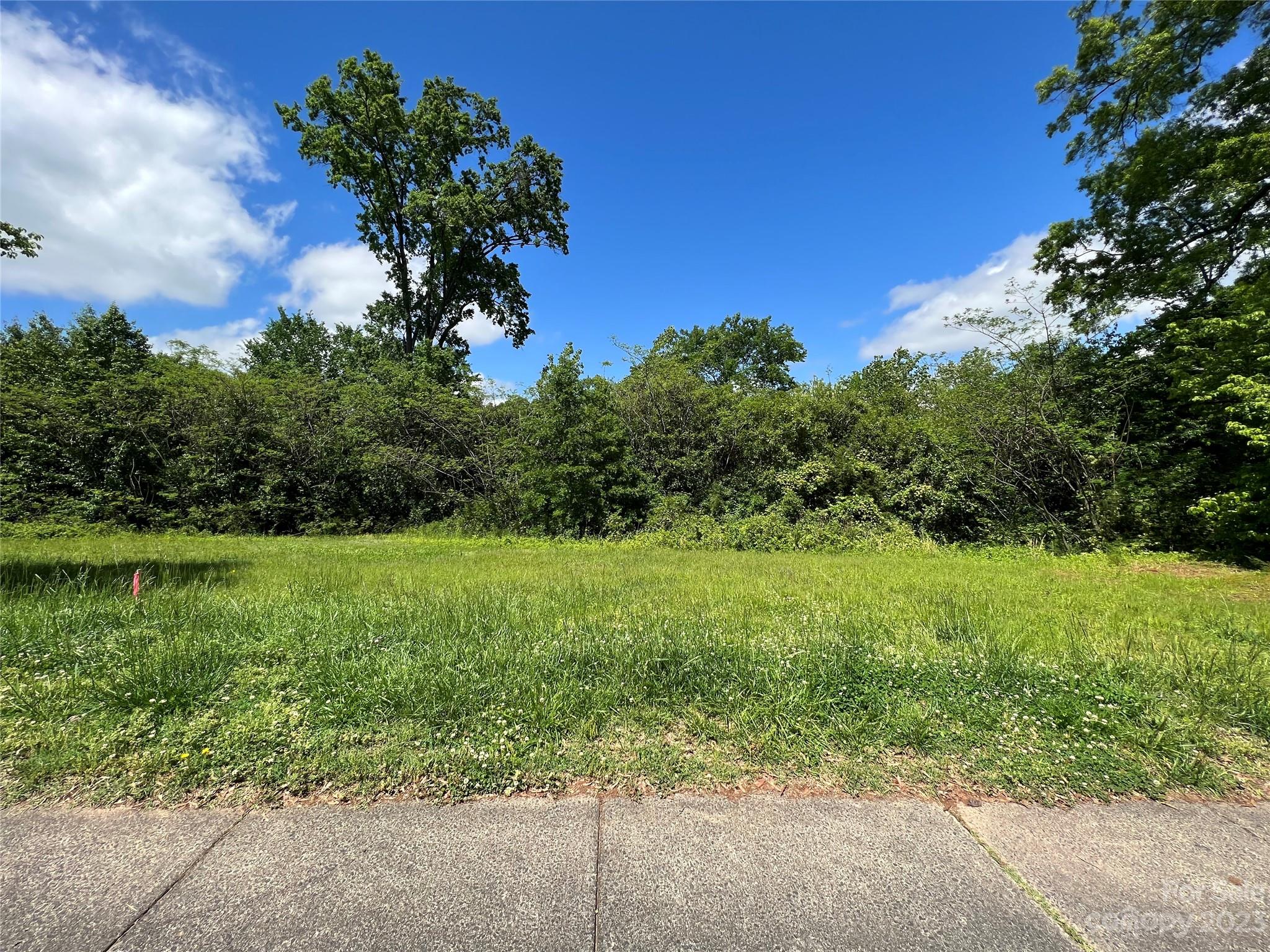 807 Charles Avenue Property Photo 1