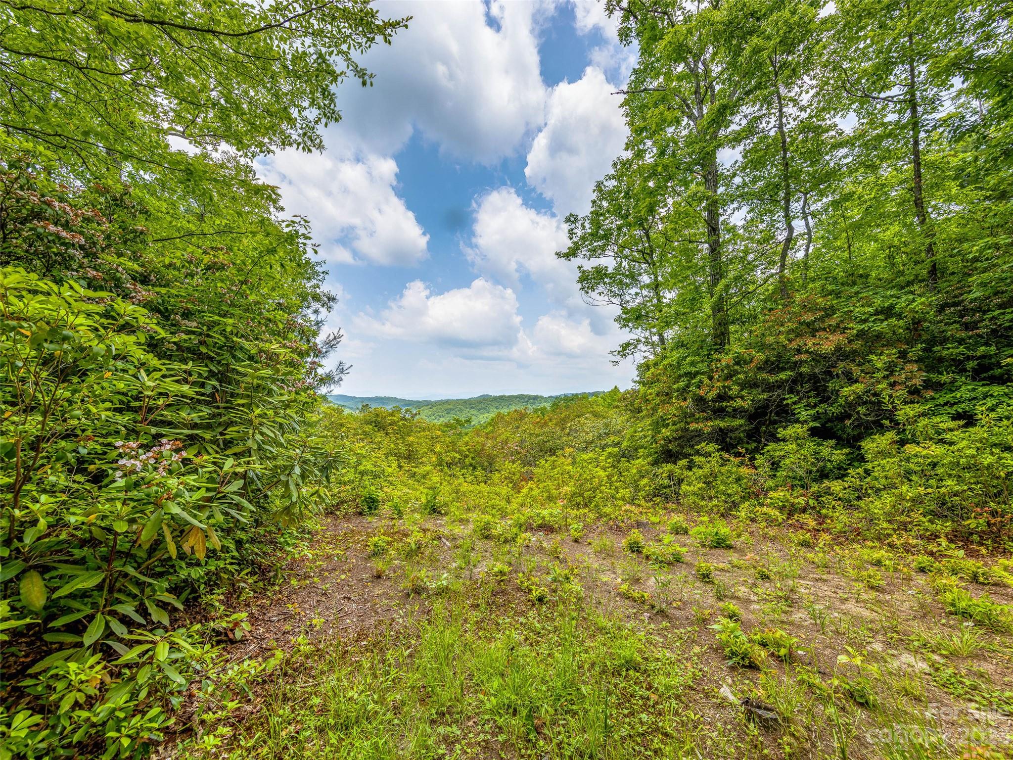 999 Big Hill Road Property Photo 14