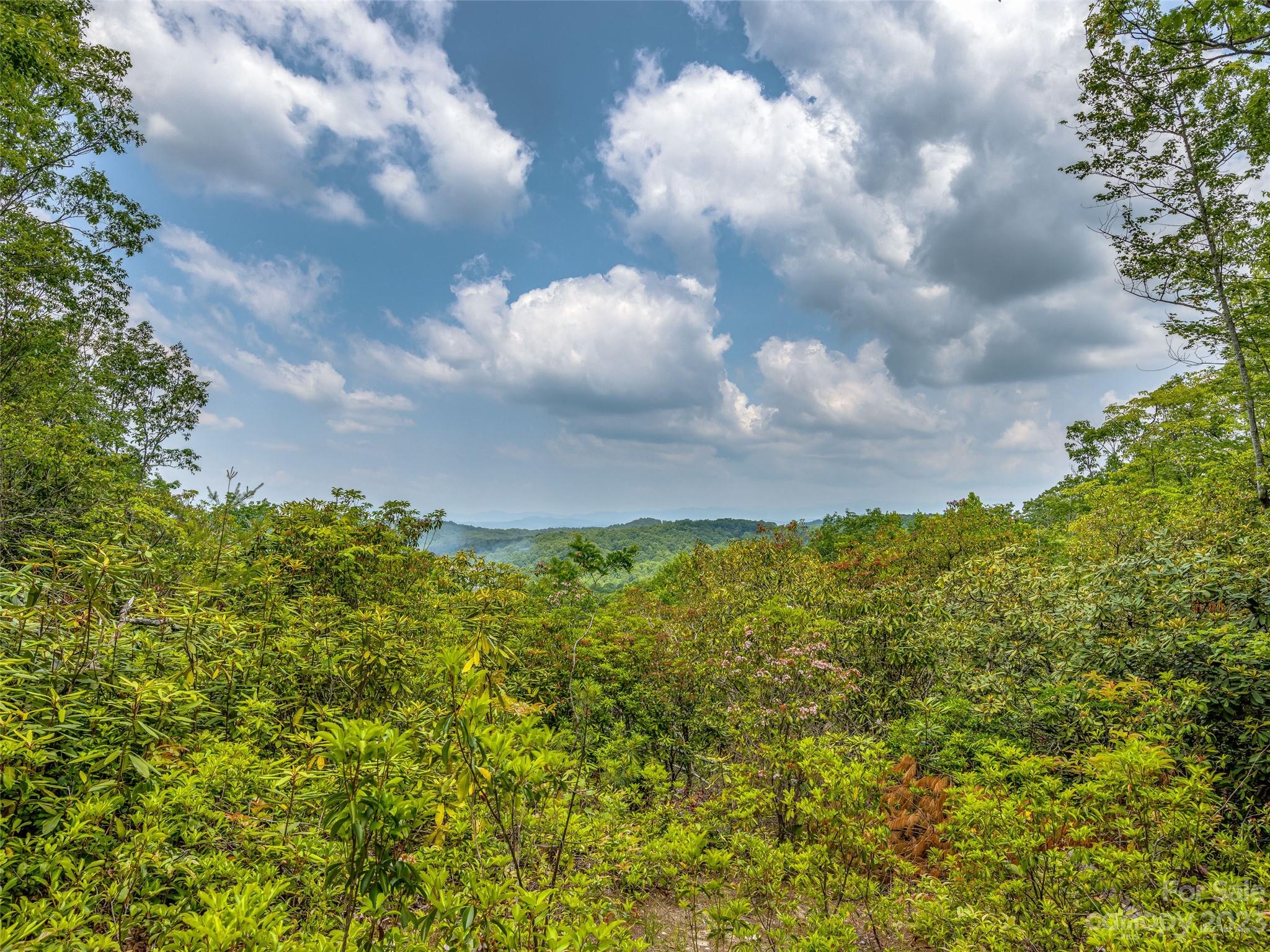 999 Big Hill Road Property Photo 15