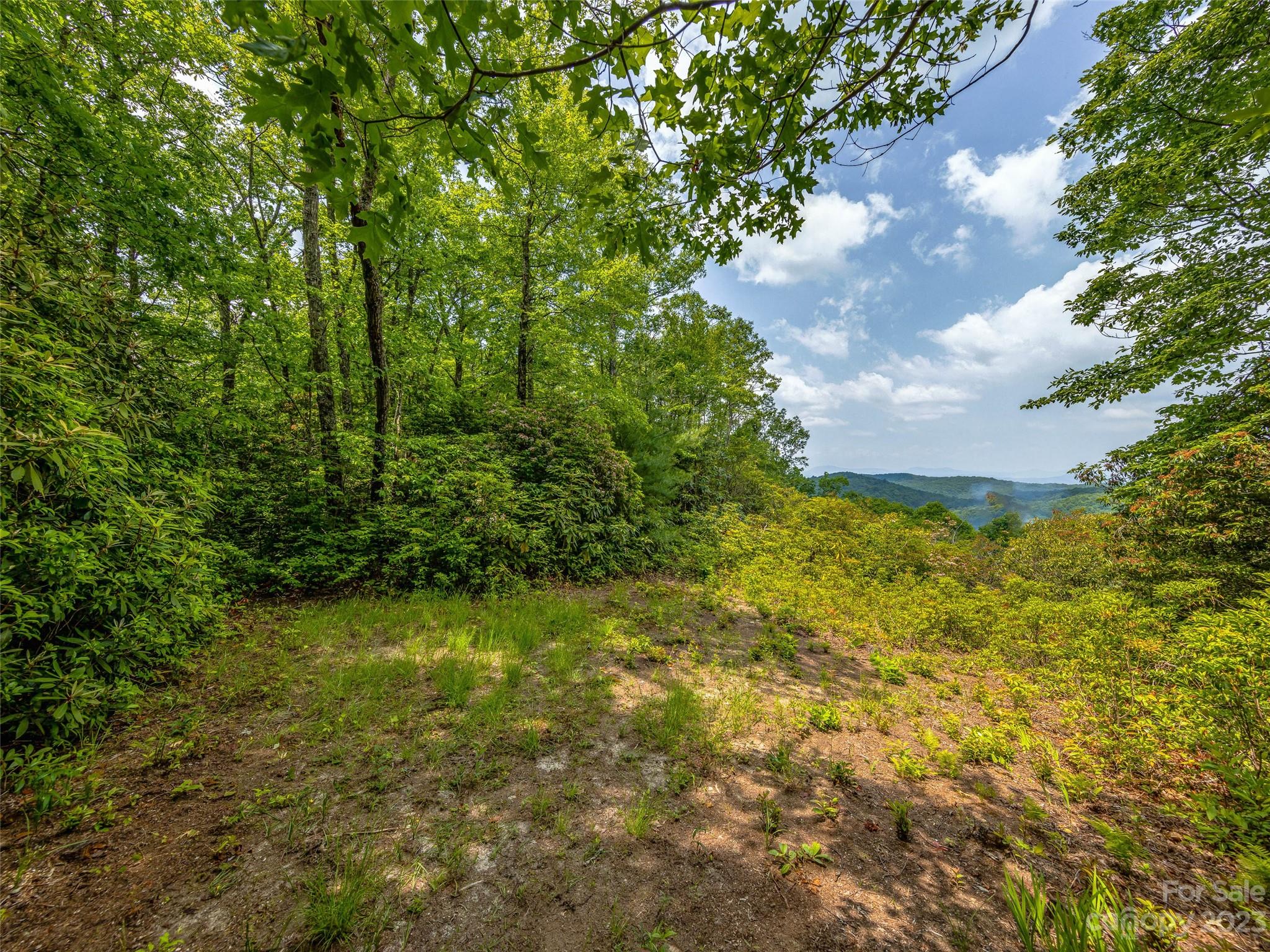 999 Big Hill Road Property Photo 17
