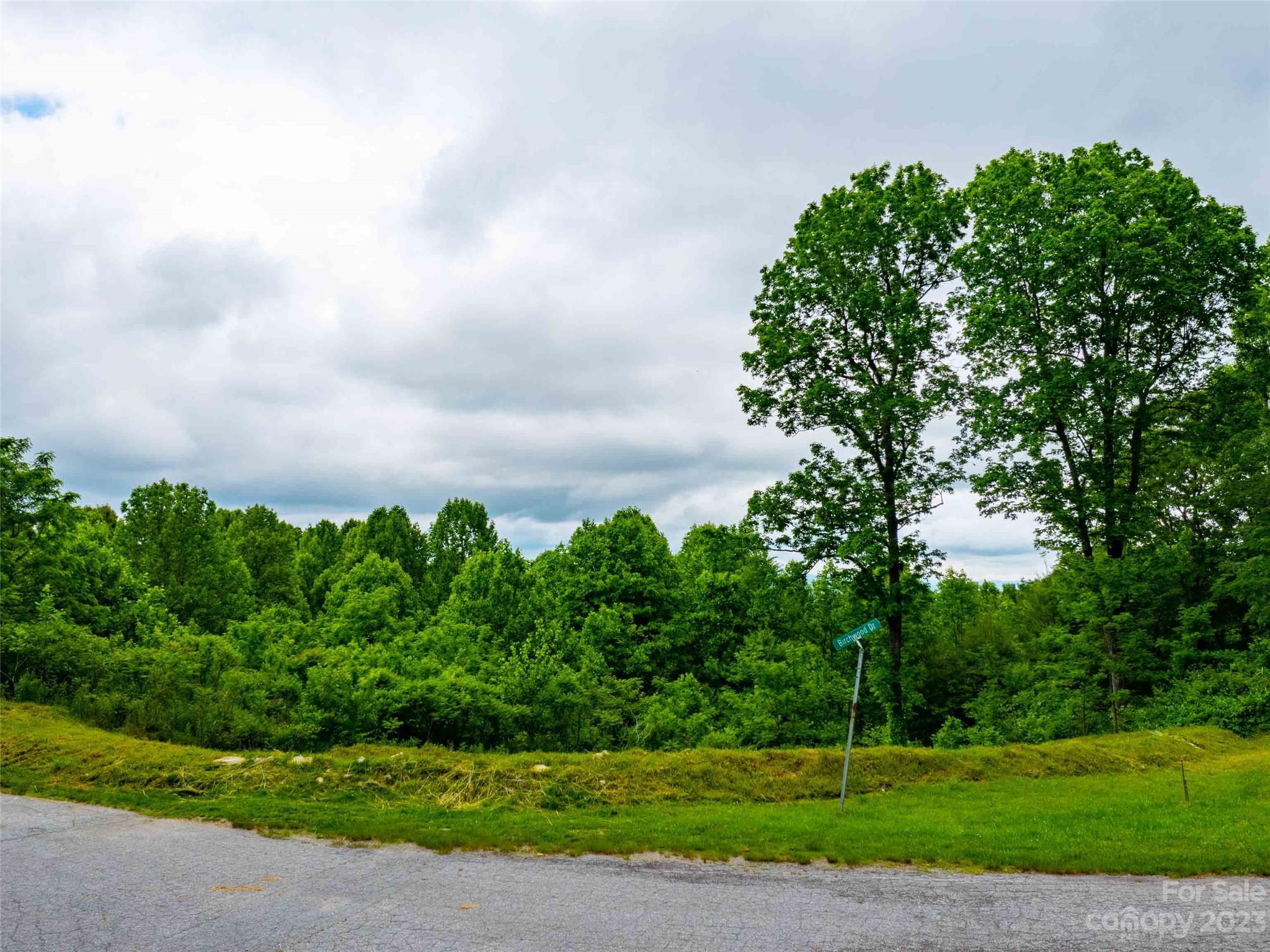 252 Pinewood Circle Lot A & B Property Photo 4