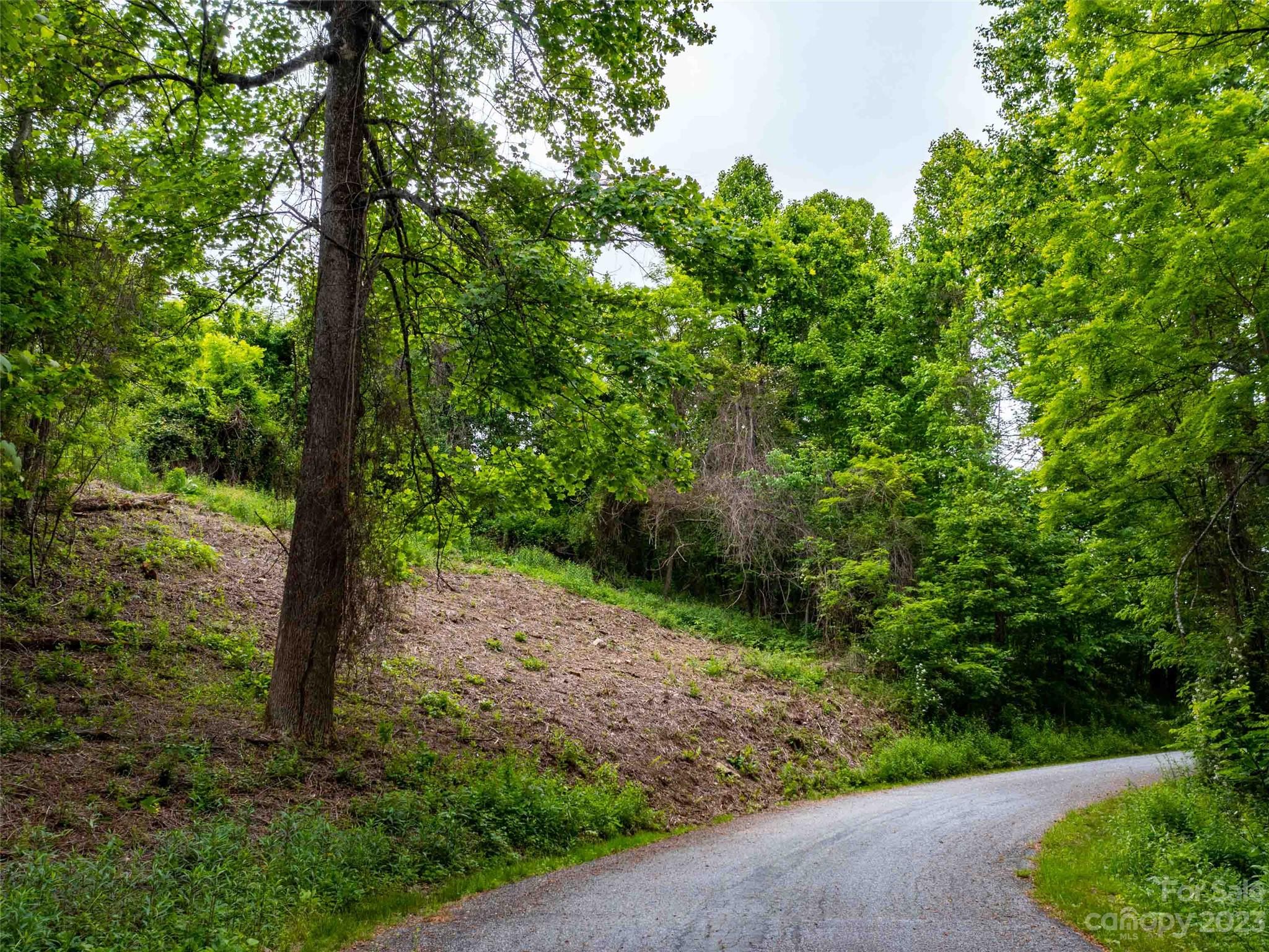 252 Pinewood Circle Lot A & B Property Photo 18