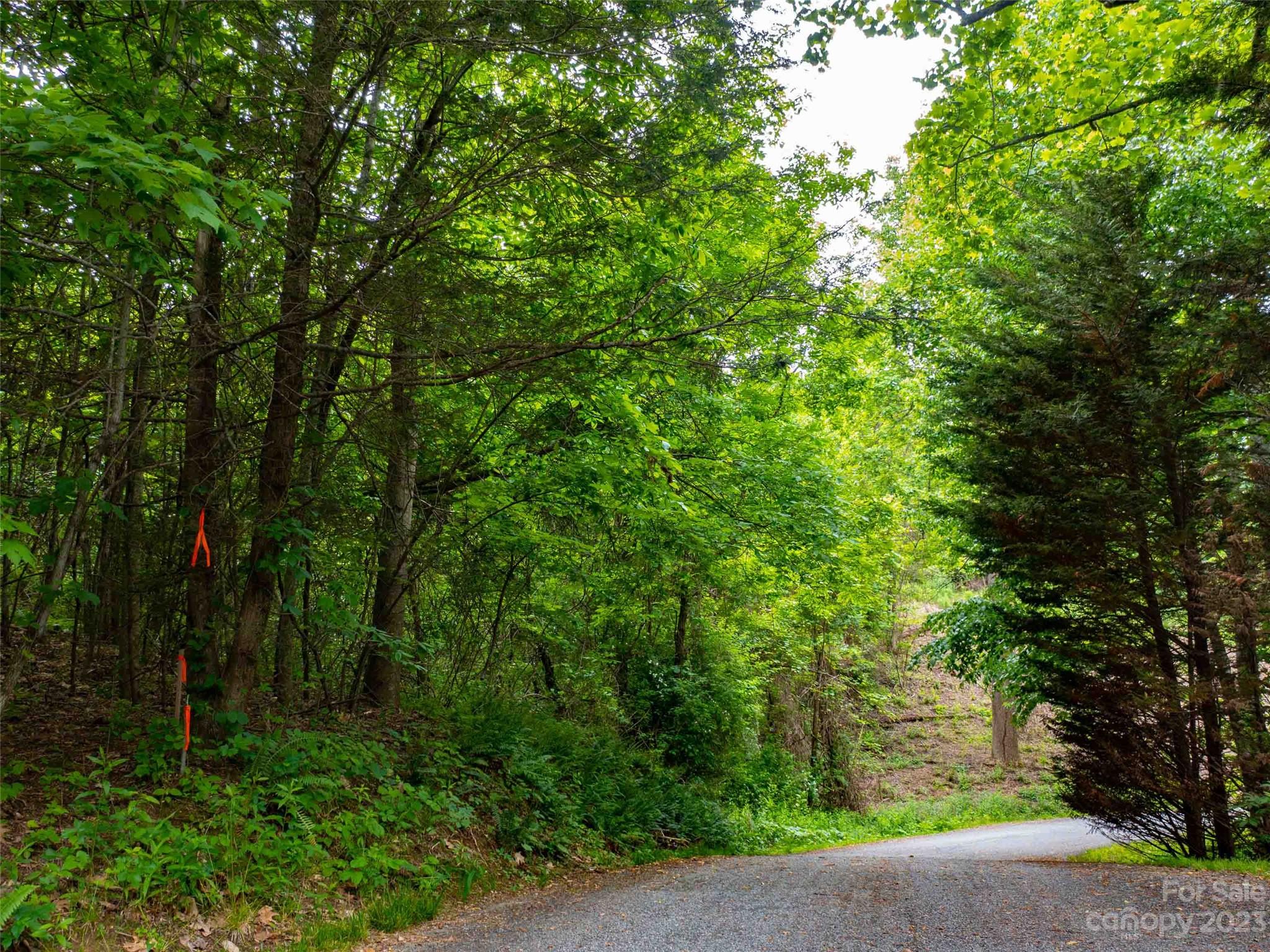 Lot A Deerwood Lane Property Photo