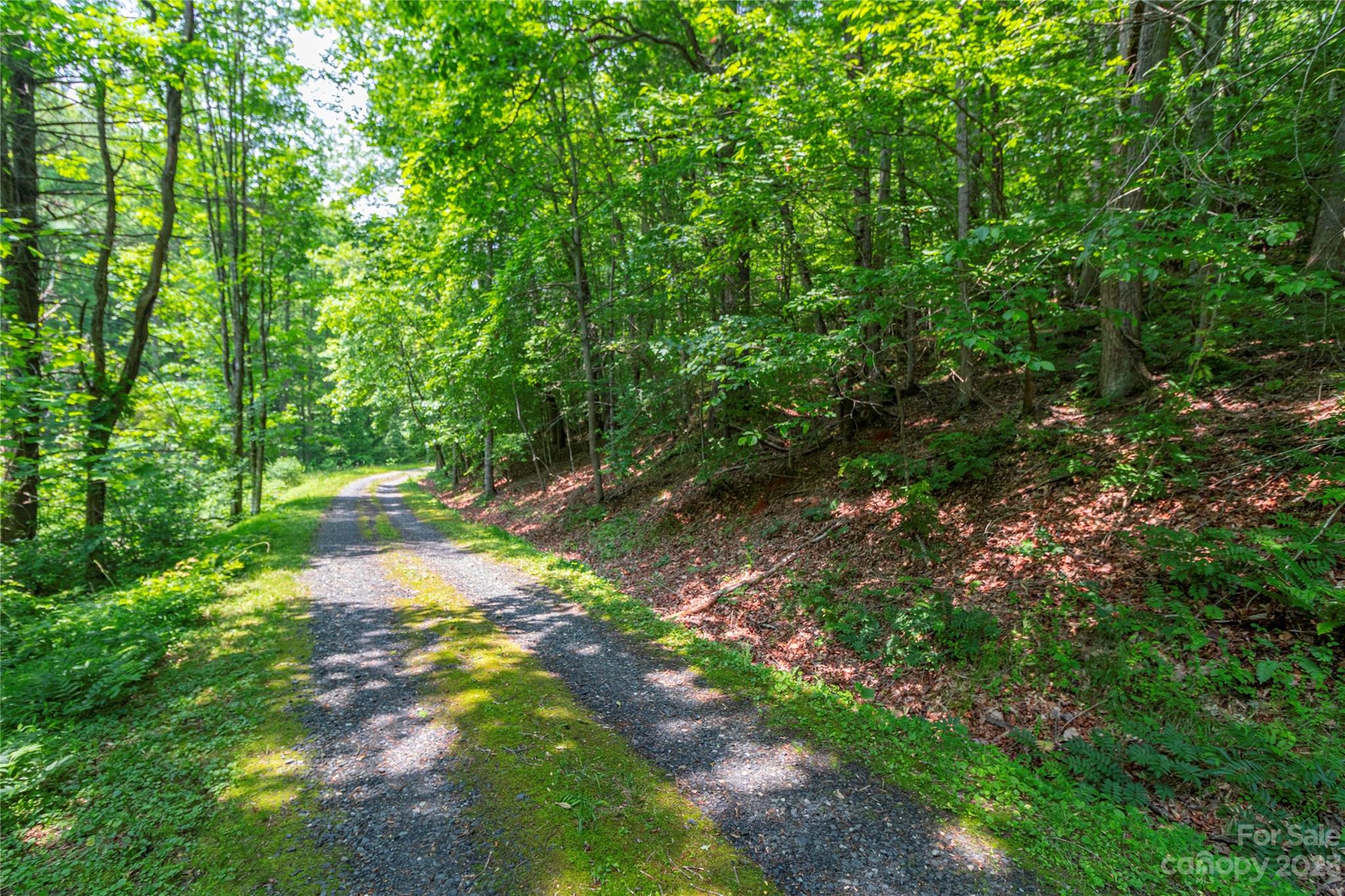 00 Baccus Siding Road Property Photo