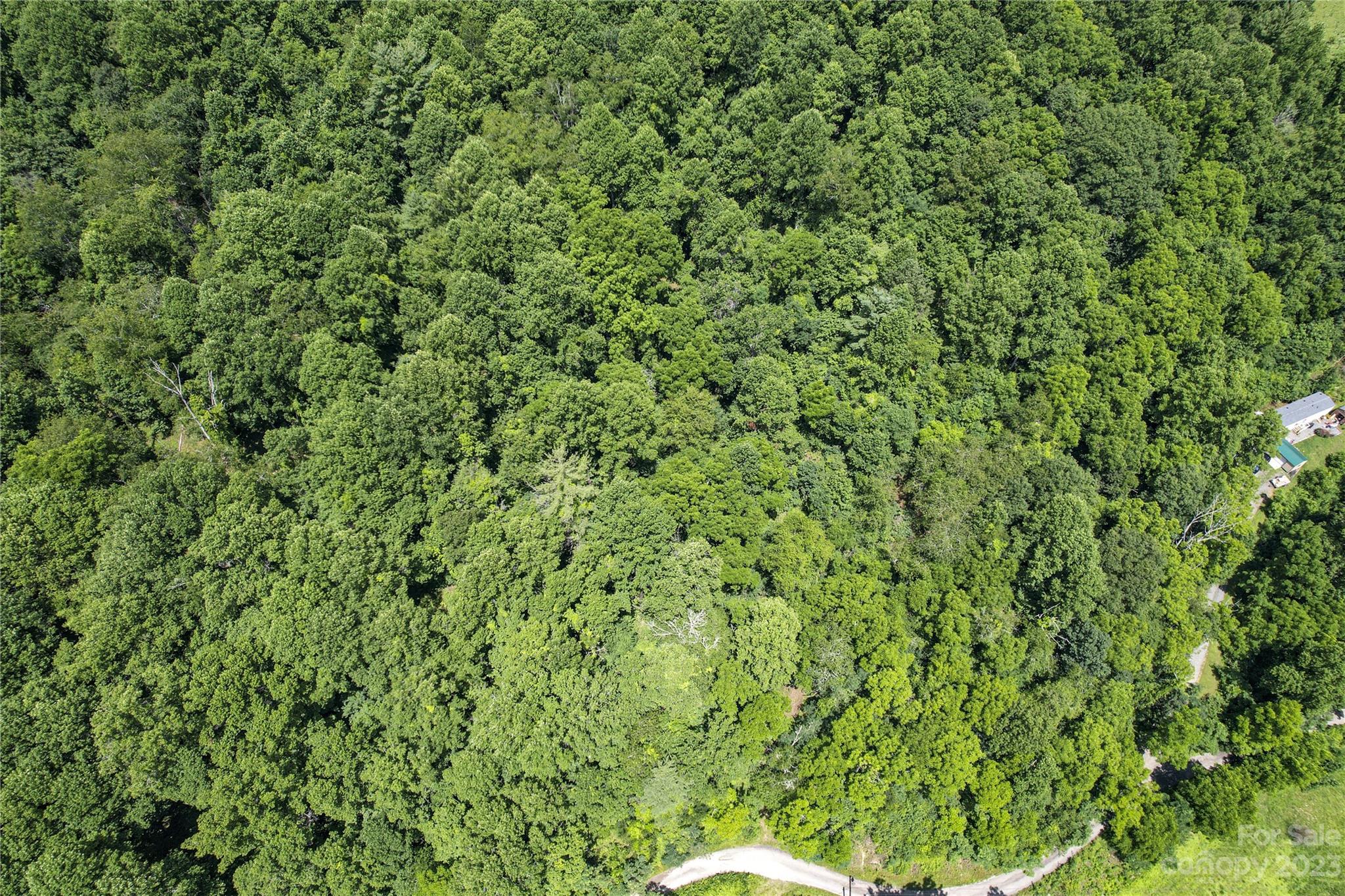 9999 Davis Cove Road Property Photo