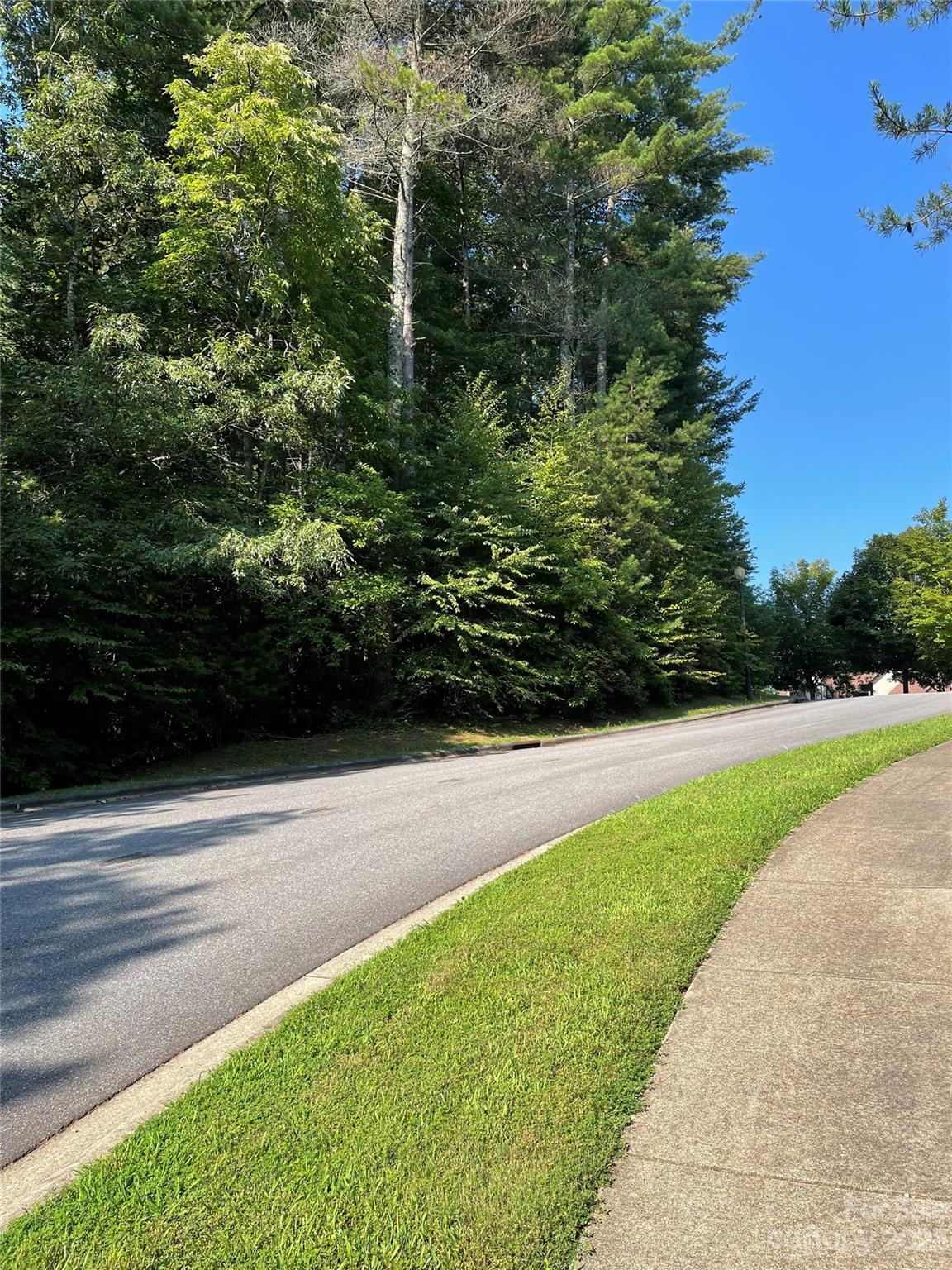V48&49 Camptown Road V48&49 Property Photo 1