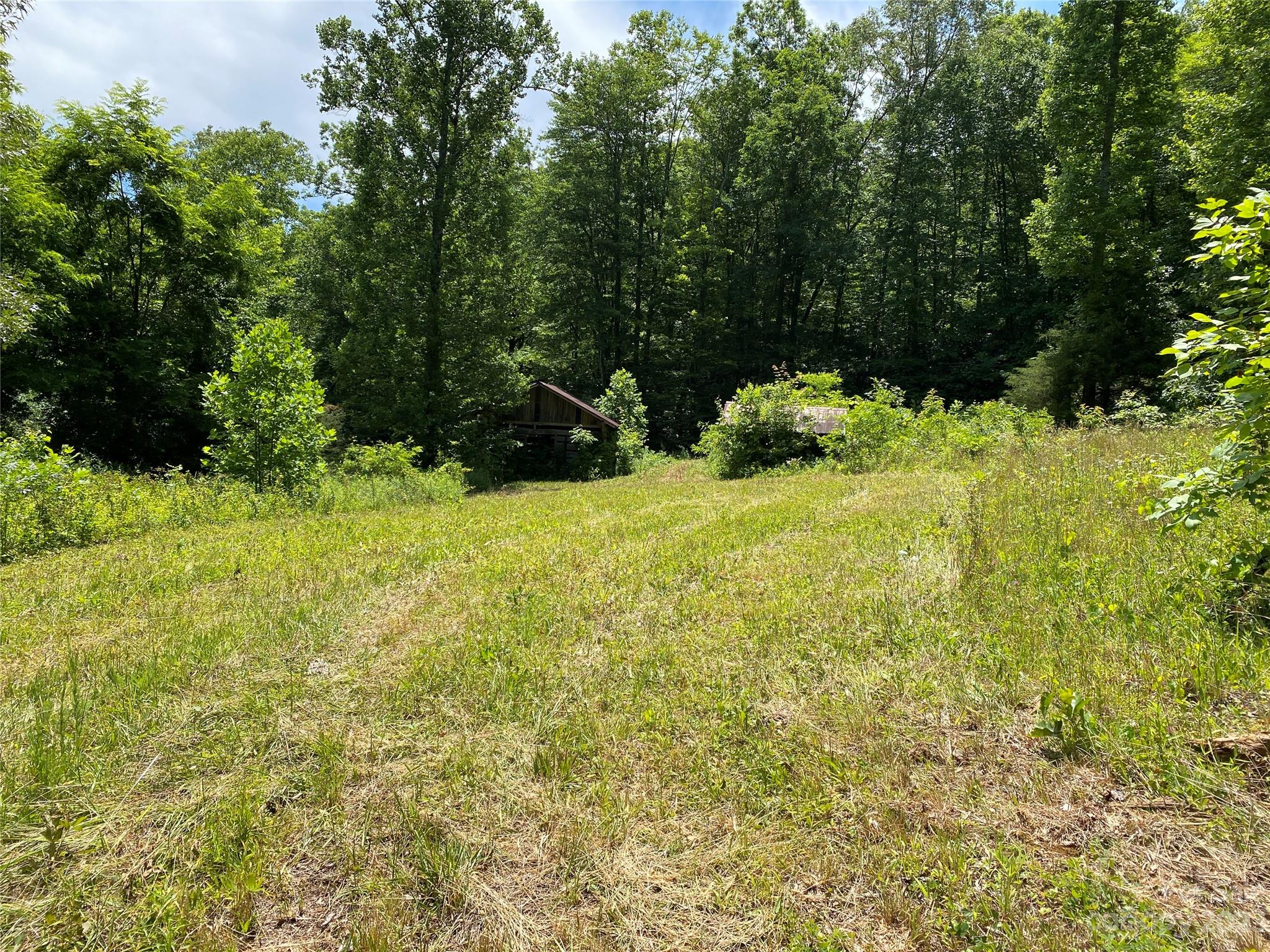 Tract 1 Moody Bridge Road Property Photo 5