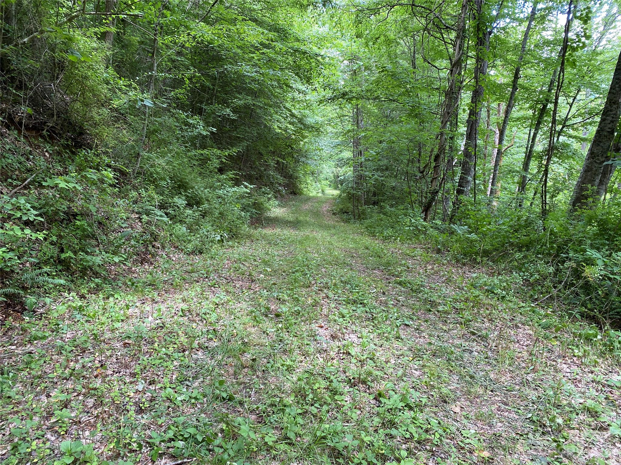 Tract 1 Moody Bridge Road Property Photo 6