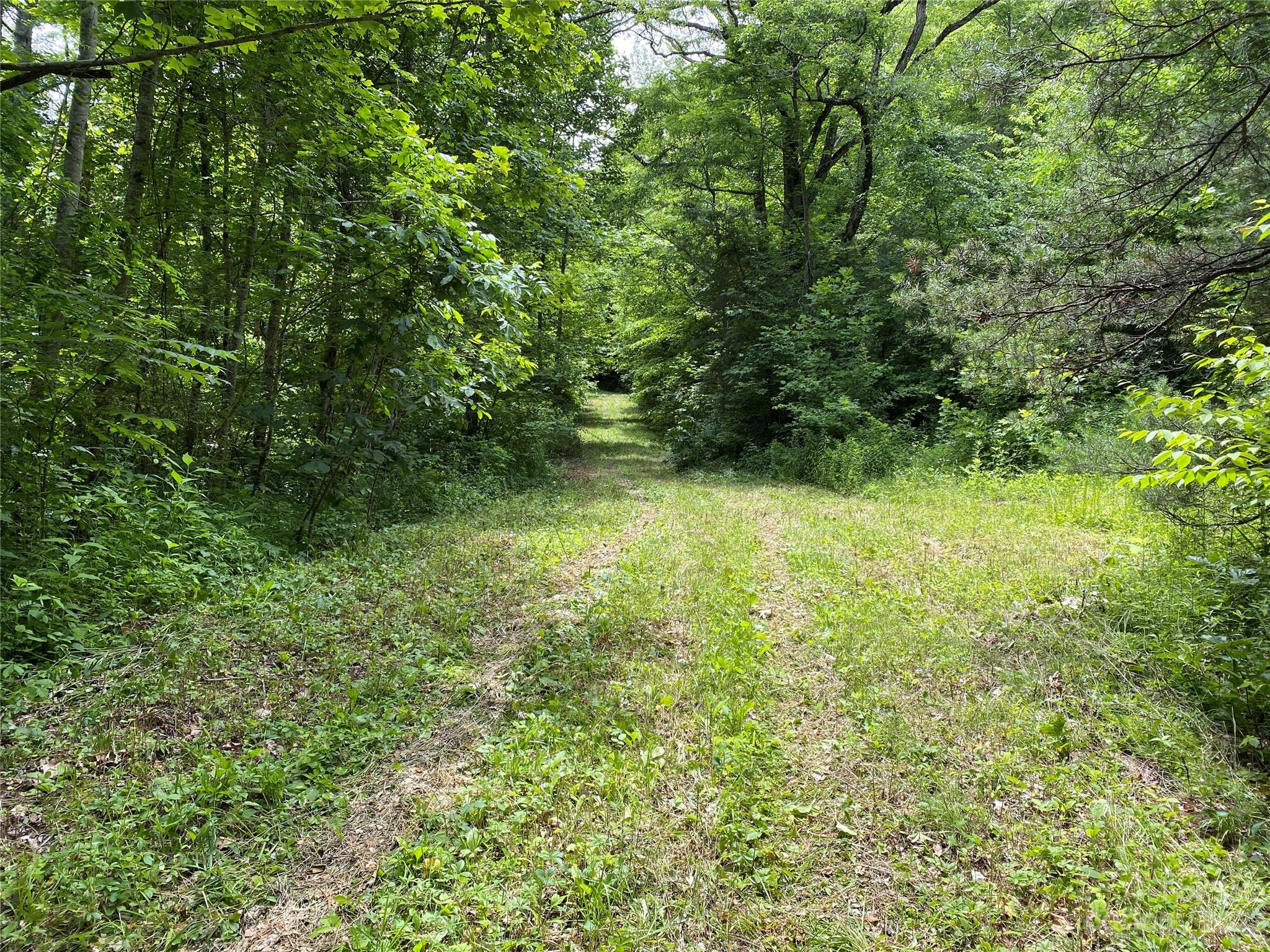Tract 1 Moody Bridge Road Property Photo 8
