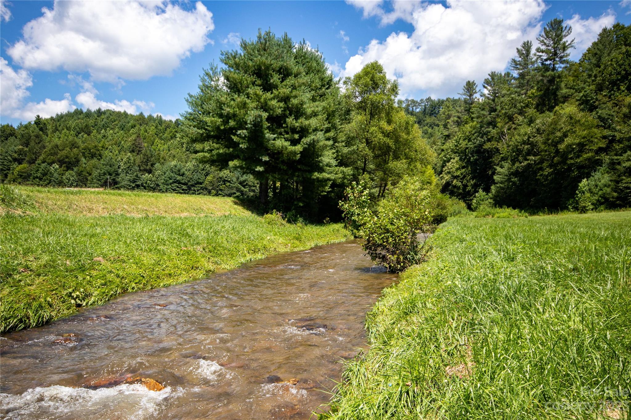 Lot# 564 Timber Rock Drive 564 Property Photo 4