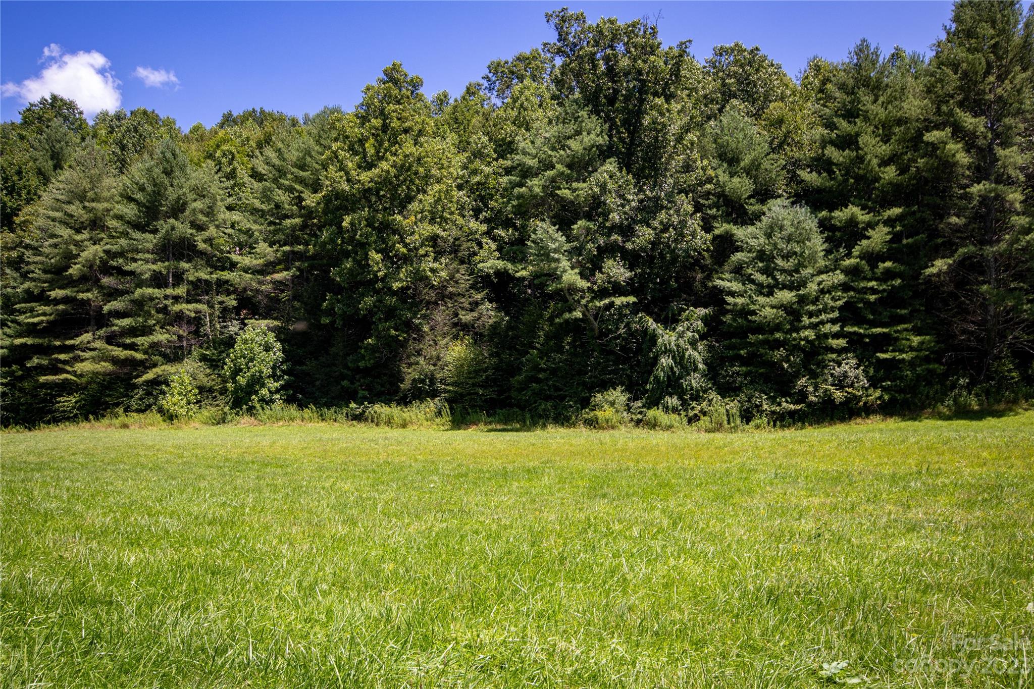 Lot# 564 Timber Rock Drive 564 Property Photo 5