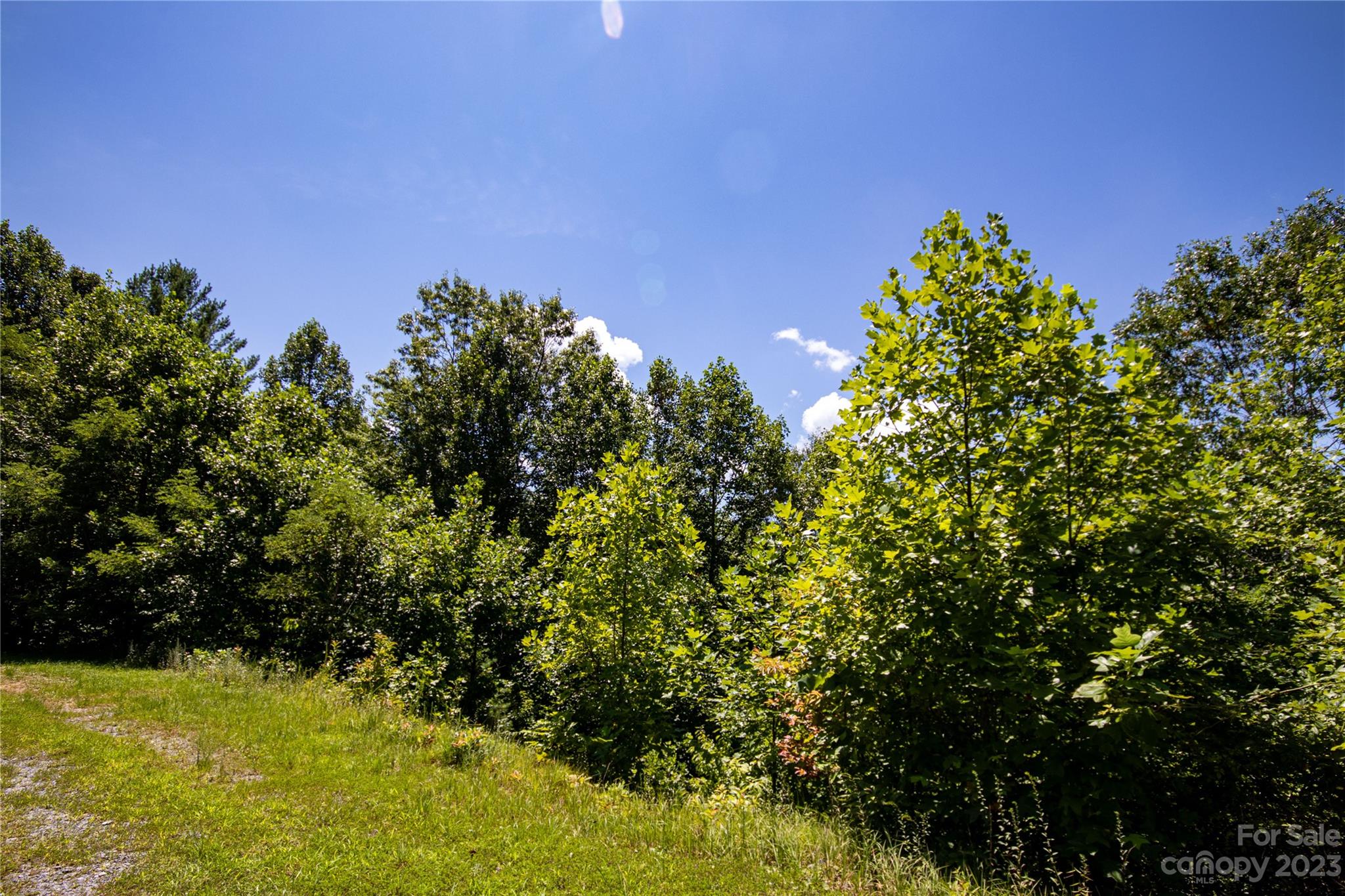 Lot# 564 Timber Rock Drive 564 Property Photo 7
