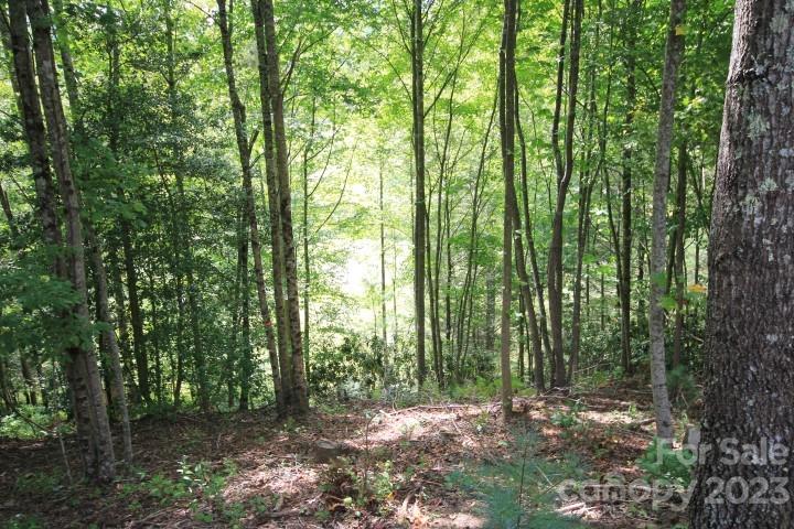 Lot# 564 Timber Rock Drive 564 Property Photo 8