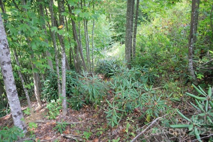 Lot# 564 Timber Rock Drive 564 Property Photo 9