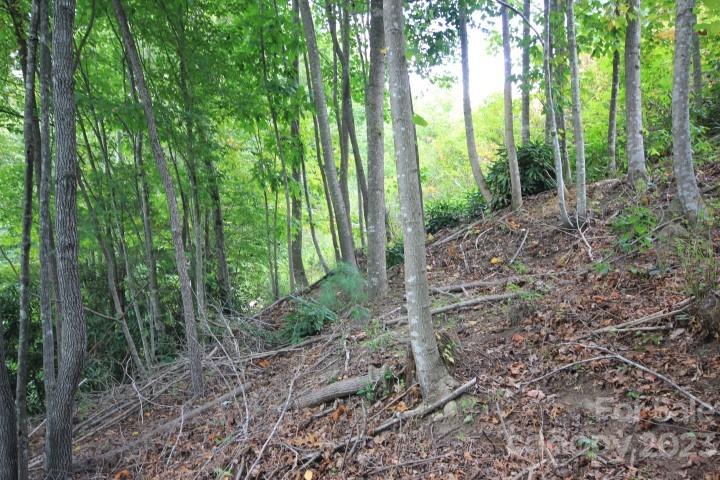 Lot# 564 Timber Rock Drive 564 Property Photo 10