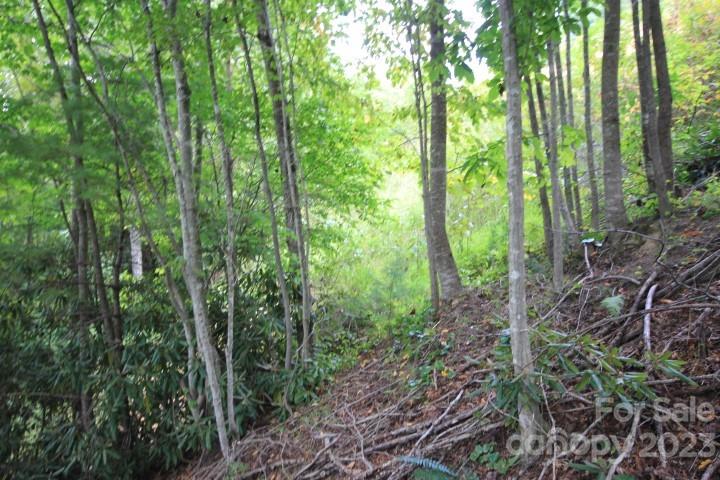 Lot# 564 Timber Rock Drive 564 Property Photo 11