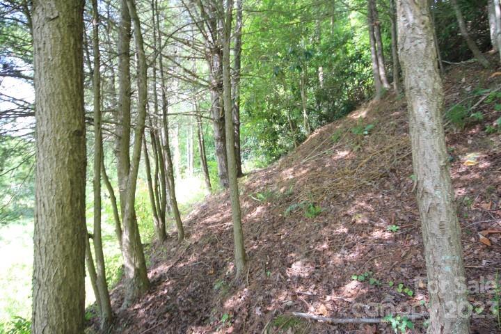 Lot# 564 Timber Rock Drive 564 Property Photo 12