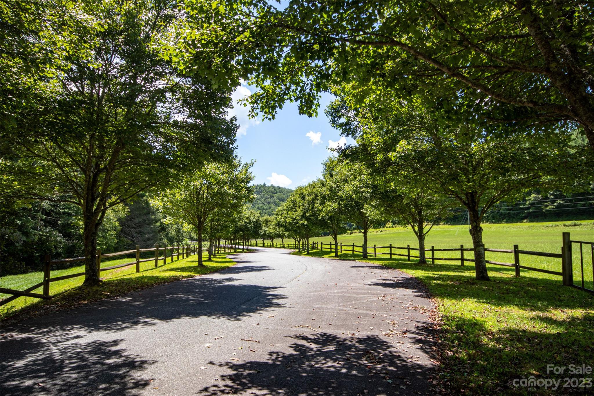 Lot# 564 Timber Rock Drive 564 Property Photo 14