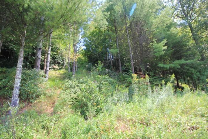 Lot# 564 Timber Rock Drive 564 Property Photo 16