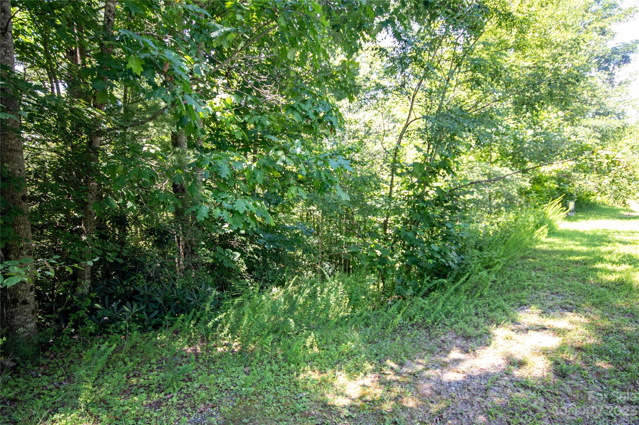 Lot# 564 Timber Rock Drive 564 Property Photo 17