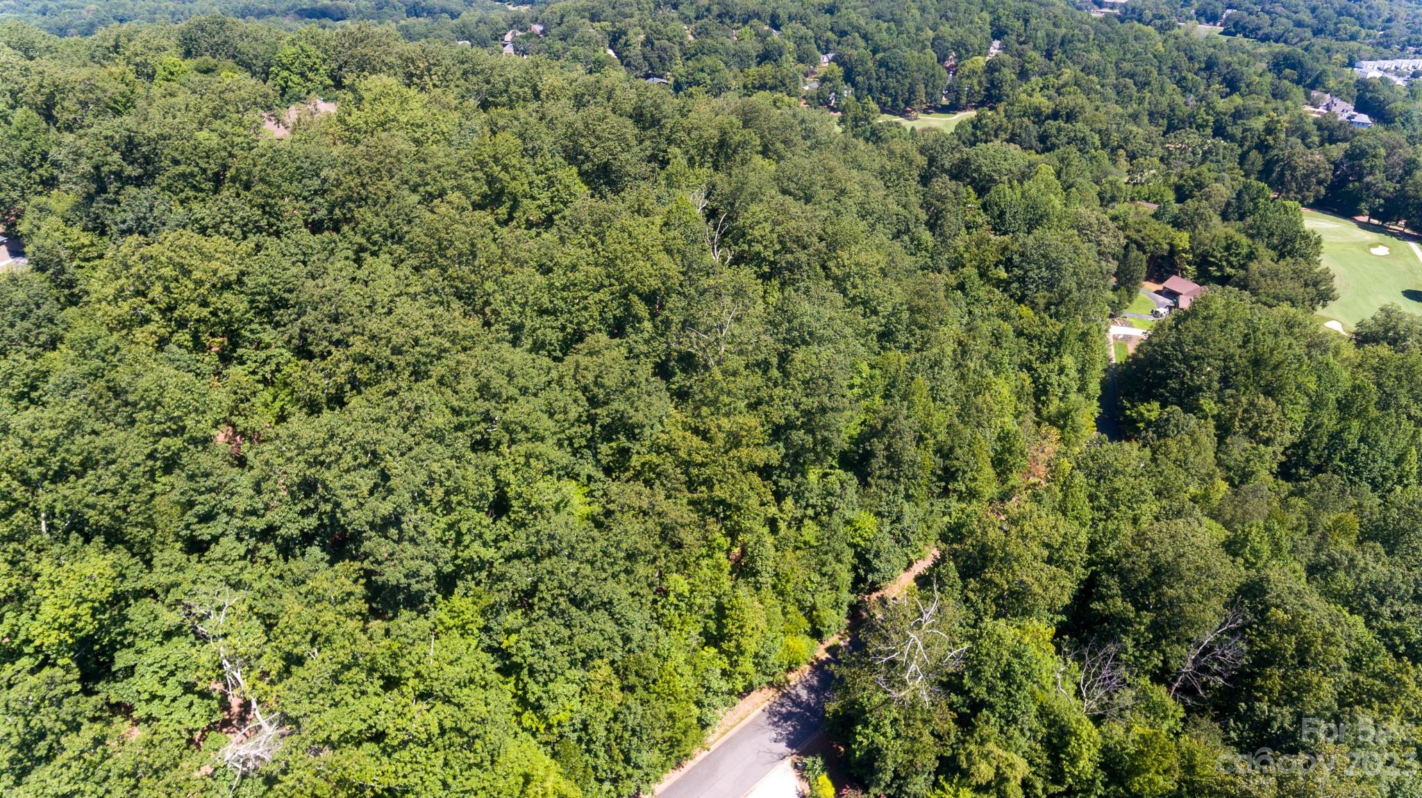 214 Mays Mills Drive Property Photo 4