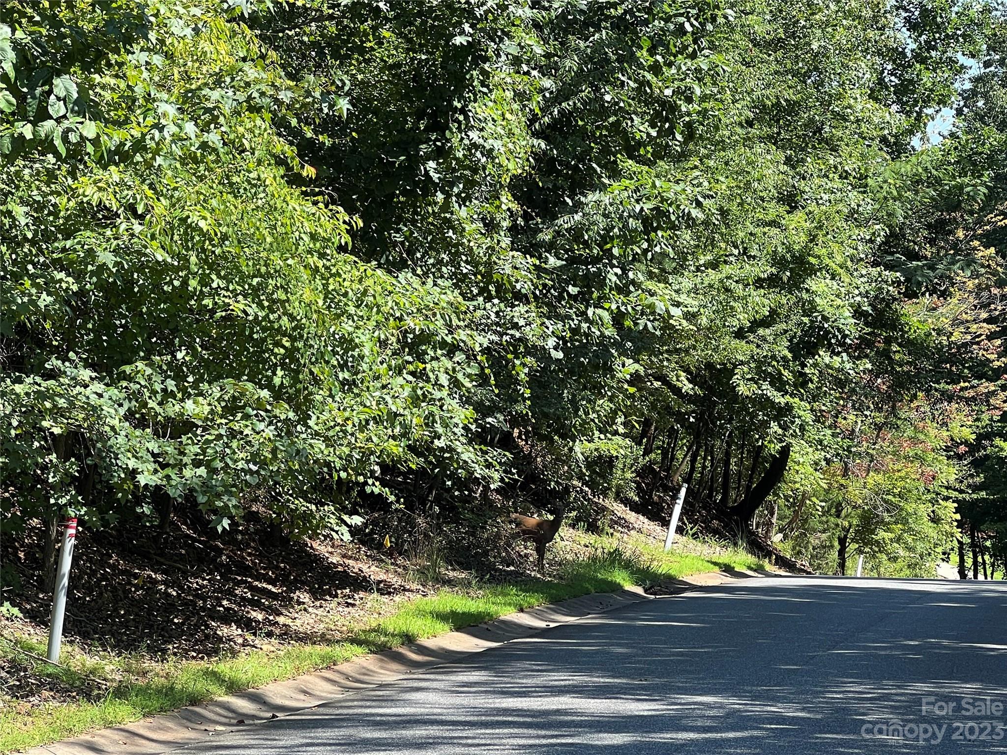 214 Mays Mills Drive Property Photo 5