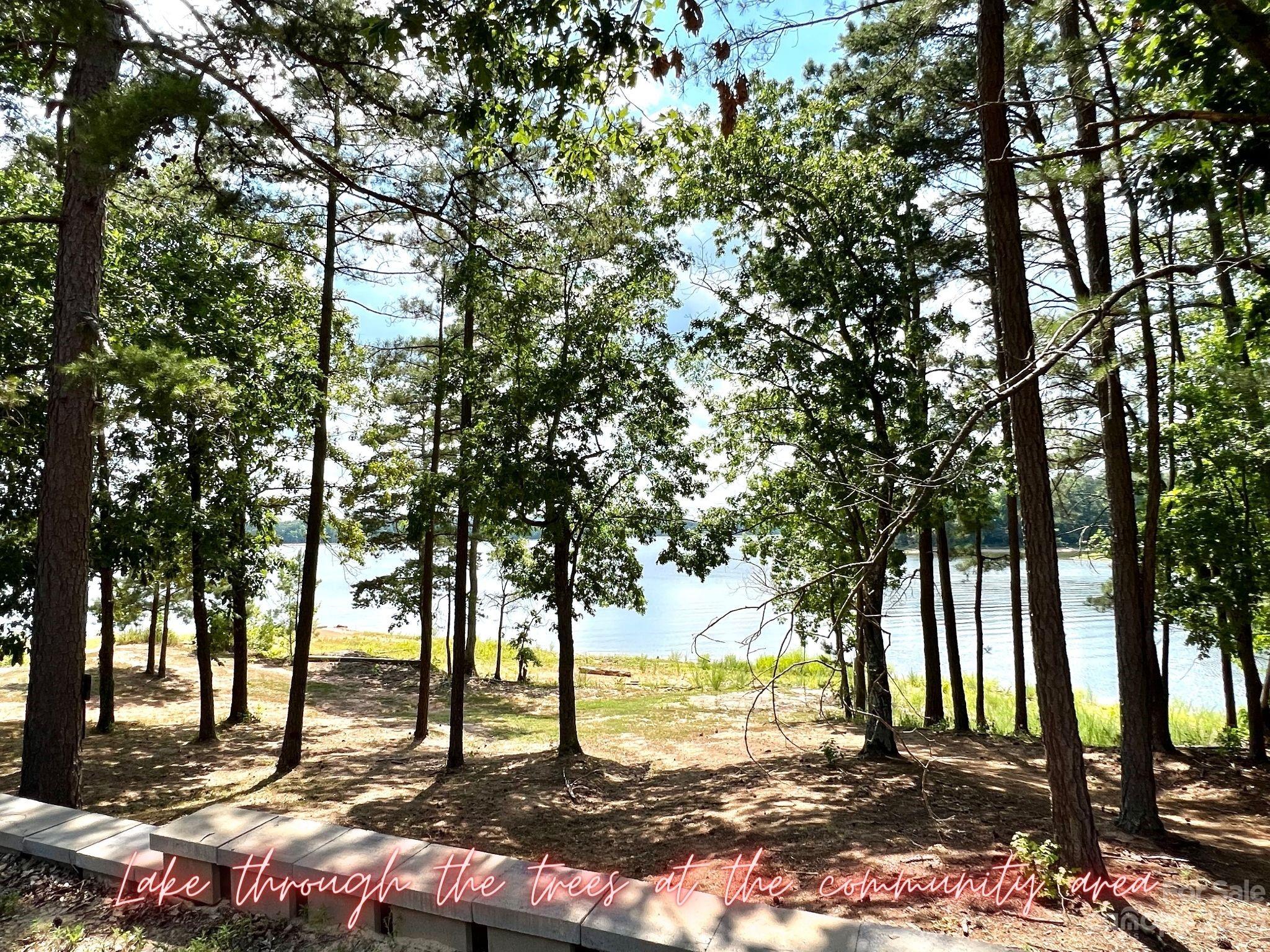 Lot 79 Lakeview Pass 79 Property Photo 11