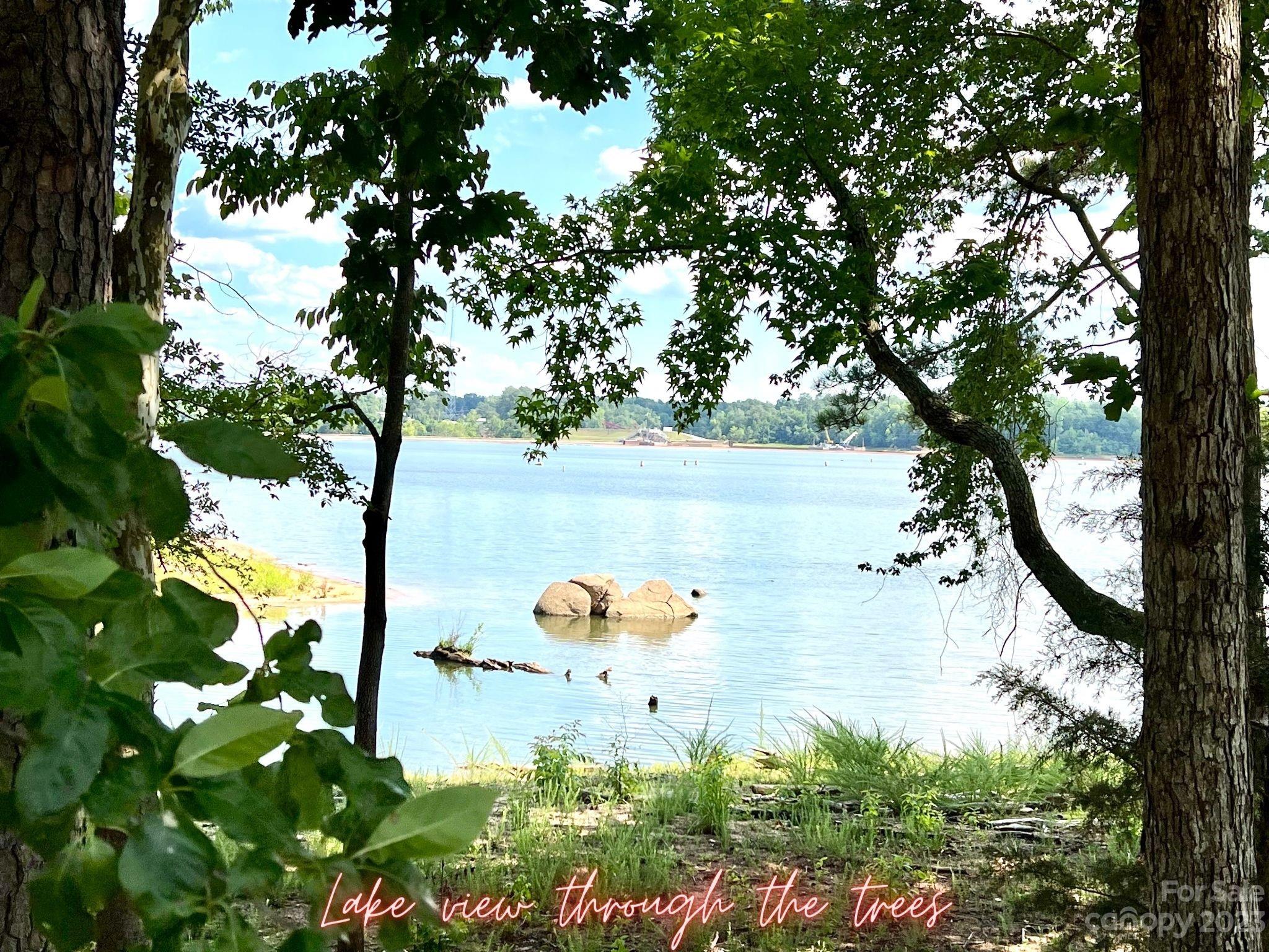 Lot 79 Lakeview Pass 79 Property Photo 12