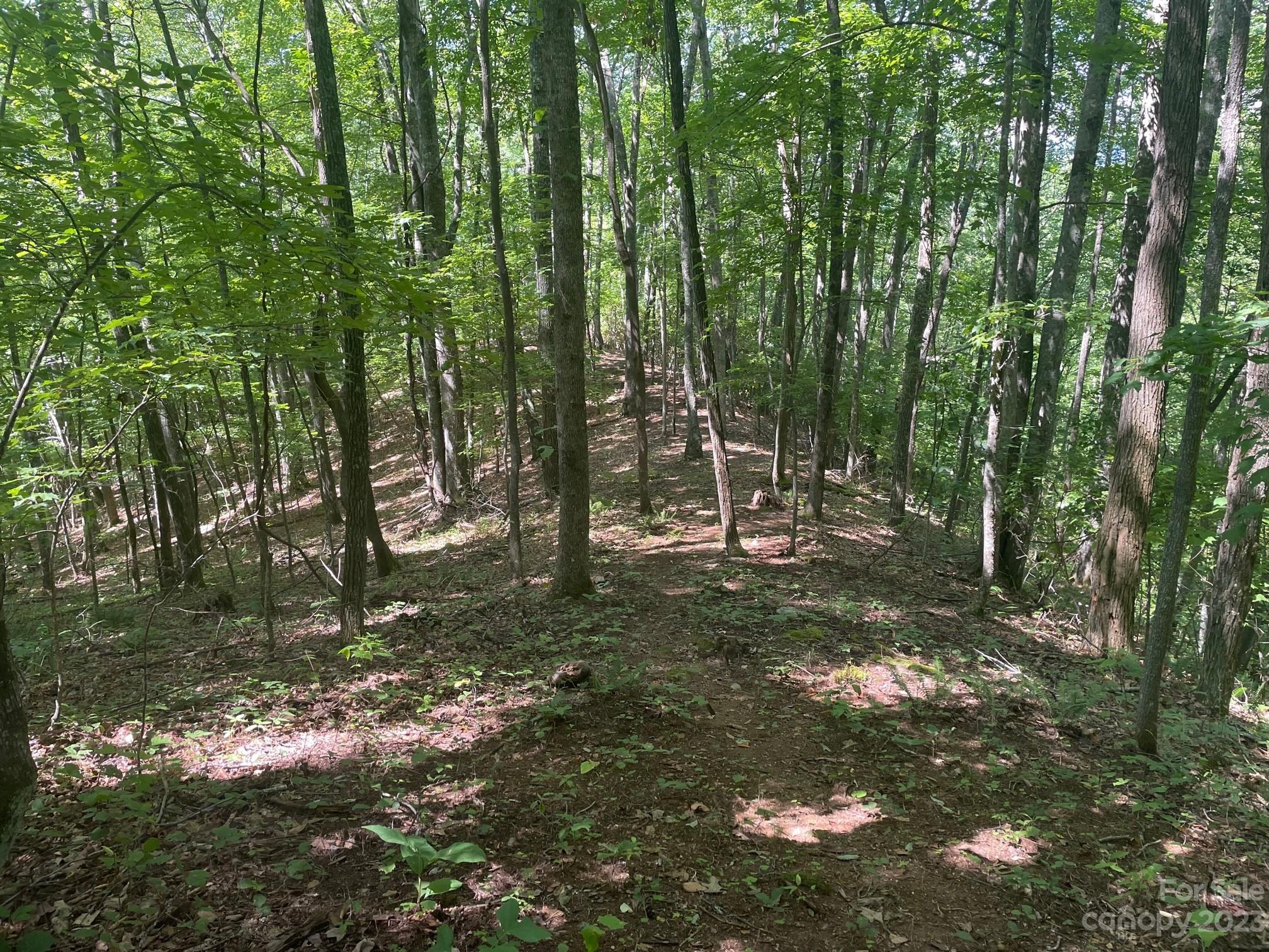 Lt 107 Boar Ridge Road 107 Property Photo 3