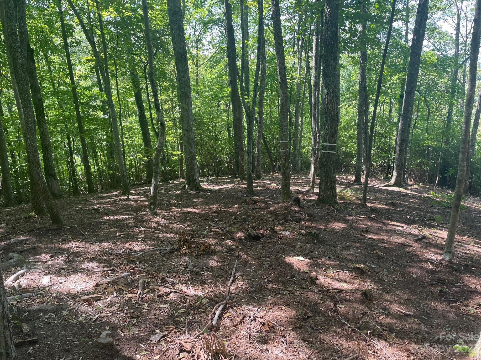 Lt 107 Boar Ridge Road 107 Property Photo 4
