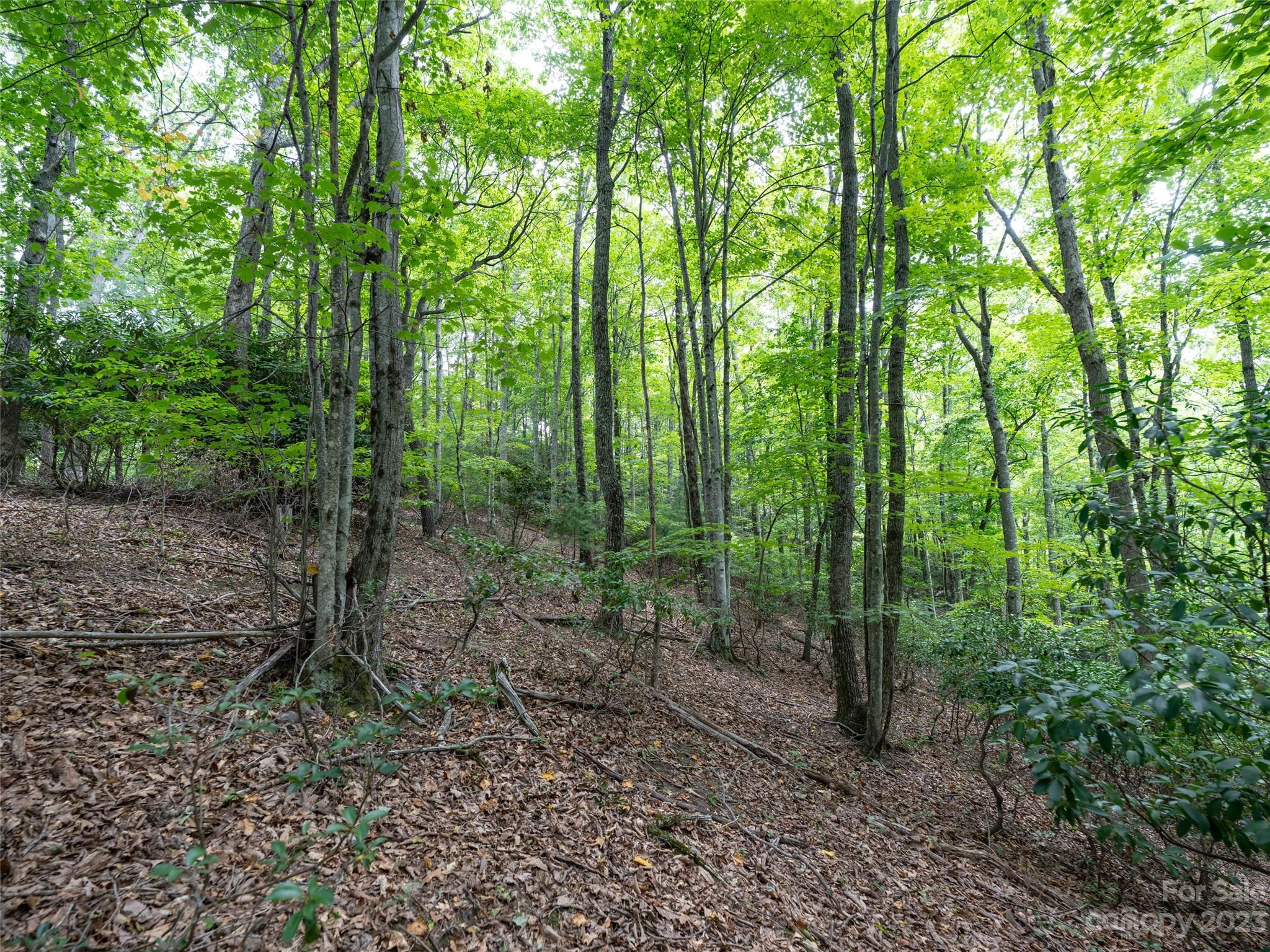 00 Grouse Ridge Road 2 Property Photo 2
