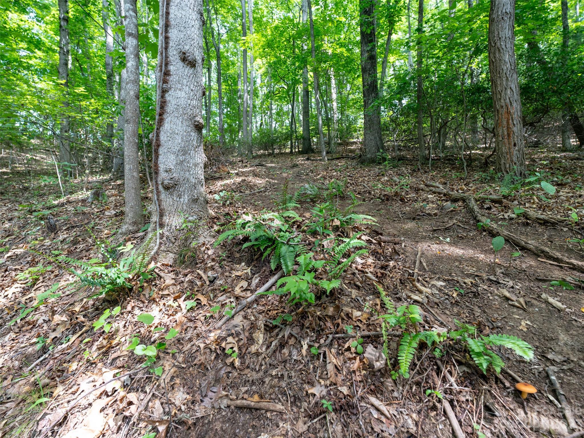 00 Grouse Ridge Road 2 Property Photo 4