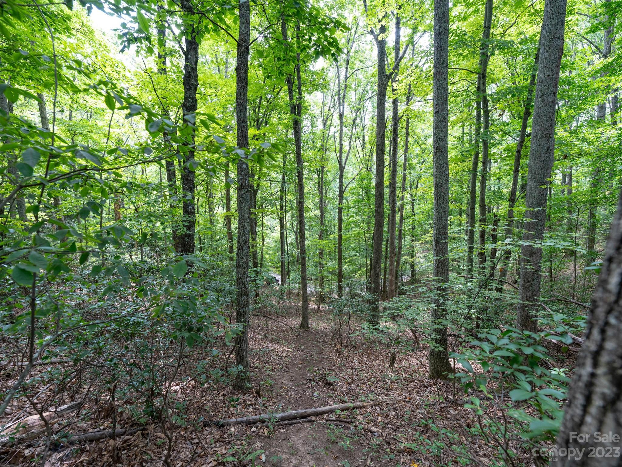 00 Grouse Ridge Road 2 Property Photo 9