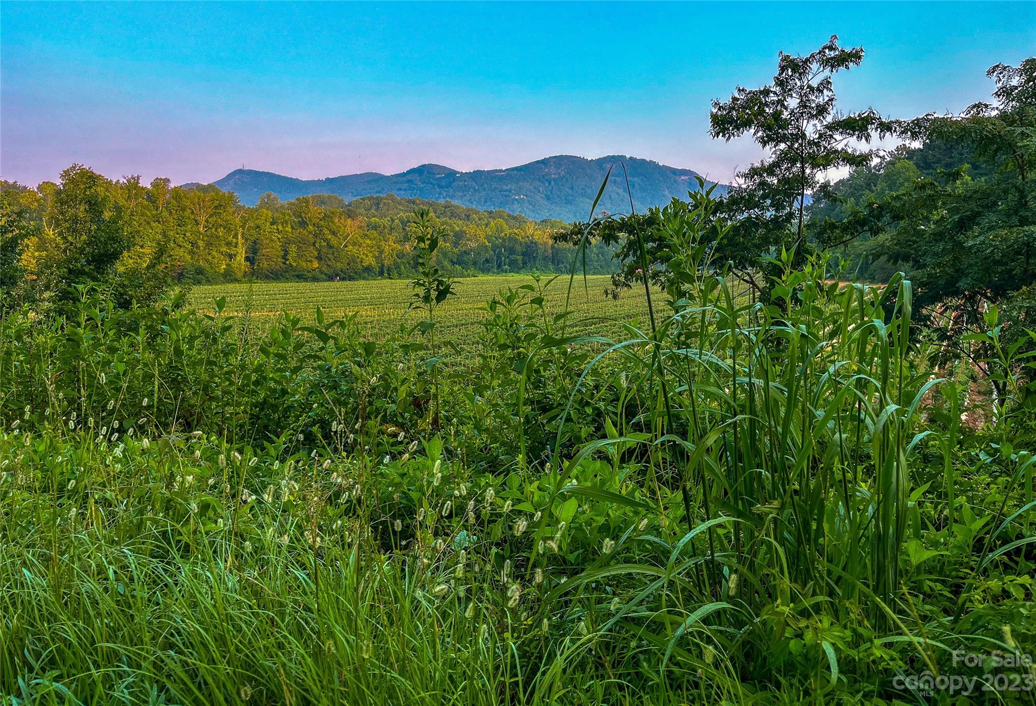 0 Fox Mountain Road 1 Property Photo 4