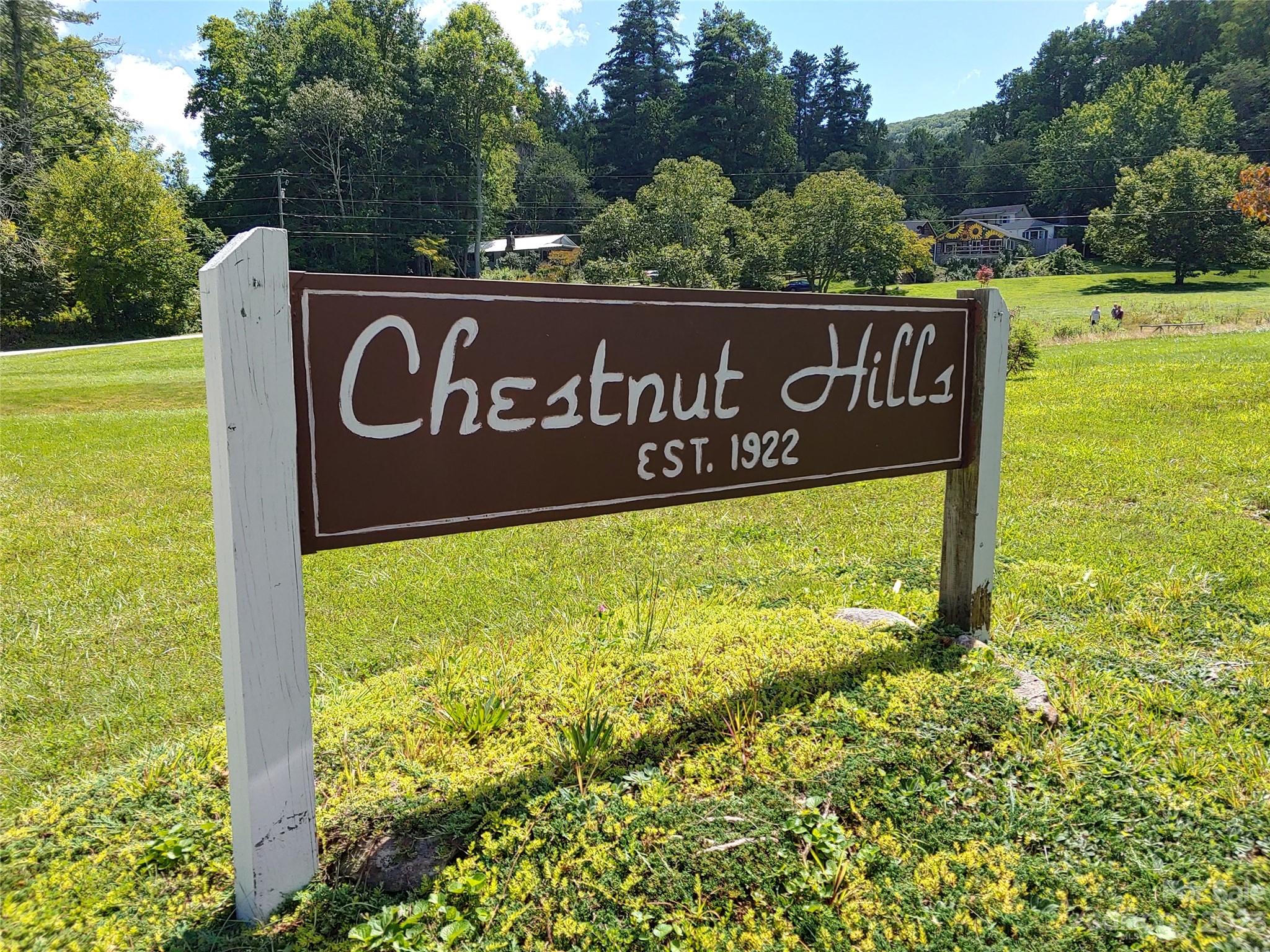 Chestnut Hills Real Estate Listings Main Image