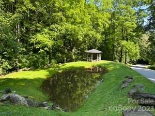 20 Tsalagi Trail Property Photo 6