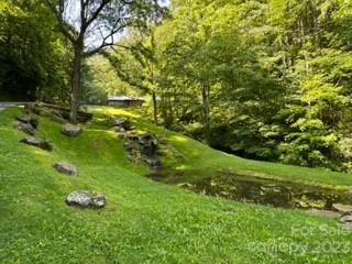 20 Tsalagi Trail Property Photo 8