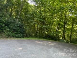 20 Tsalagi Trail Property Photo 11