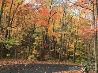 20 Tsalagi Trail Property Photo 13