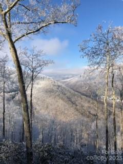 20 Tsalagi Trail Property Photo 15