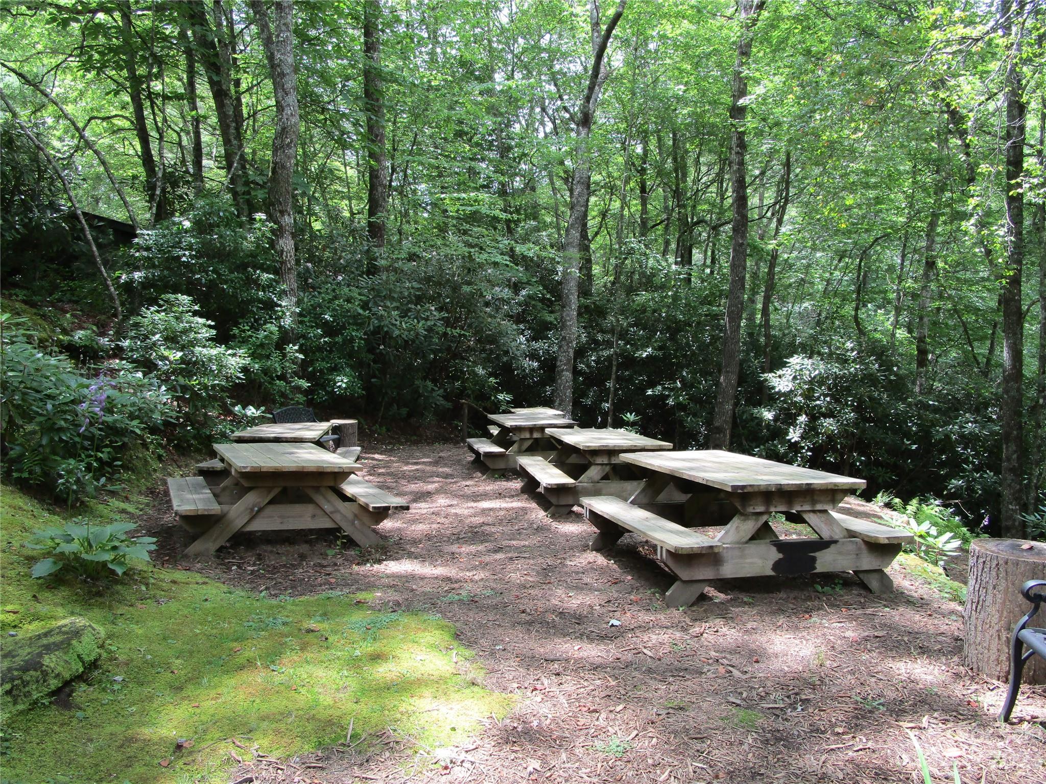 Tbd Indian Lake Road 31 Property Photo 14