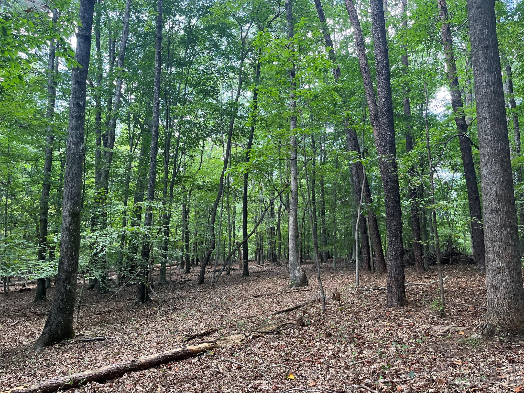 0 Fox Mountain Road 9 Property Photo 1
