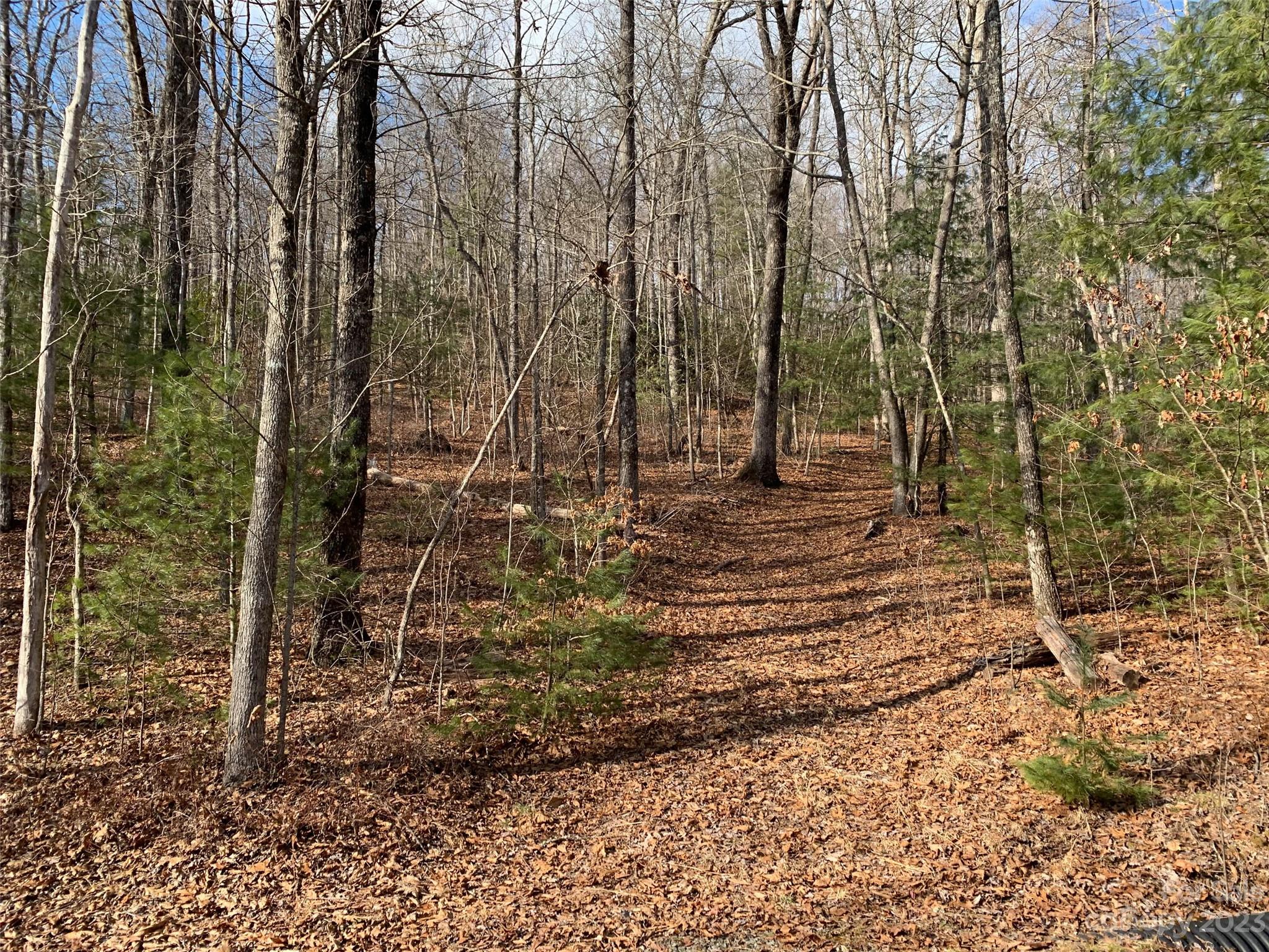 91 Laurel Thicket Lane Property Photo 2