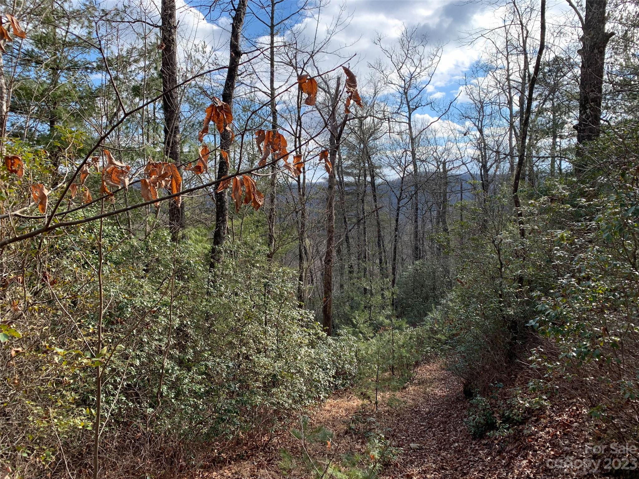 91 Laurel Thicket Lane Property Photo 3