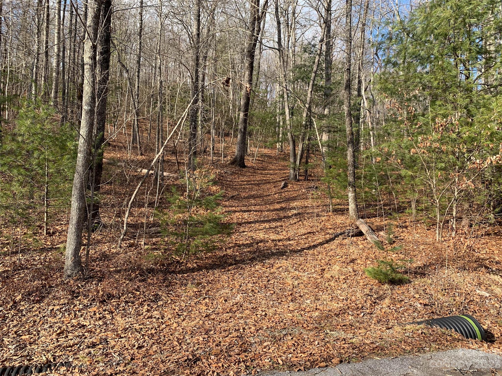 91 Laurel Thicket Lane Property Photo 4