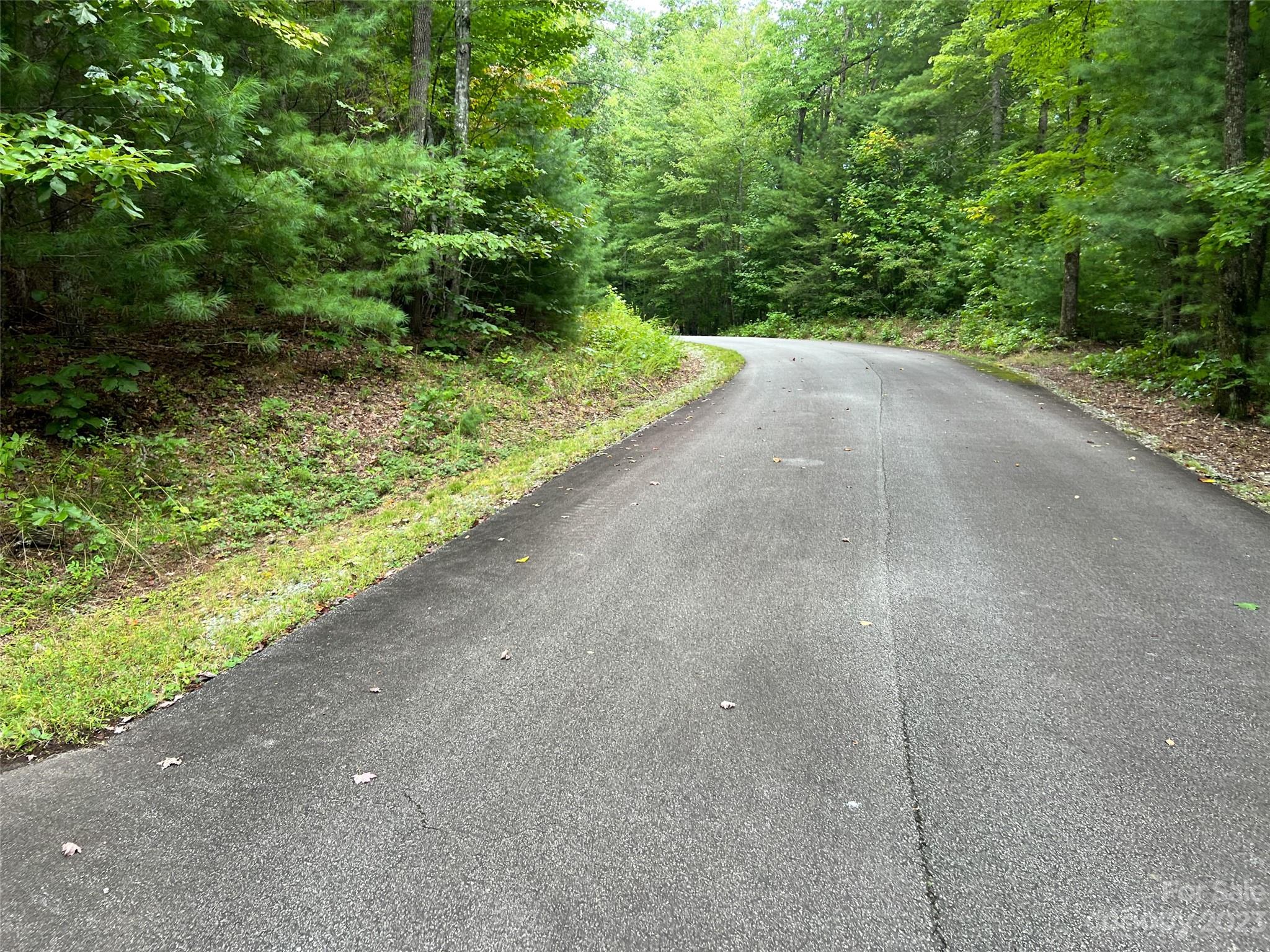 106 Green Hollow Lane Property Photo 2