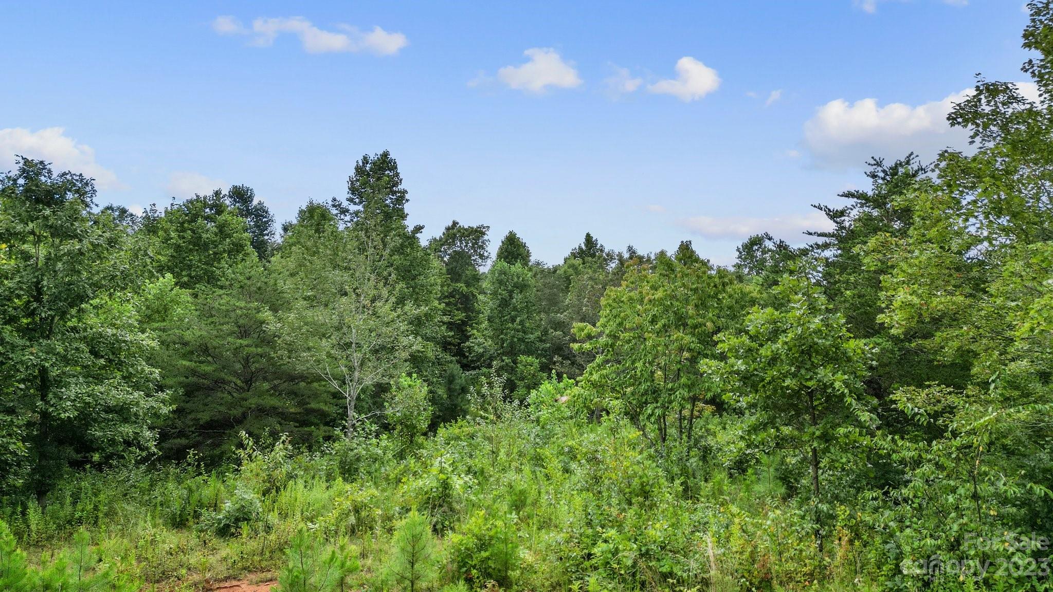 0 Willowby Run Property Photo 19